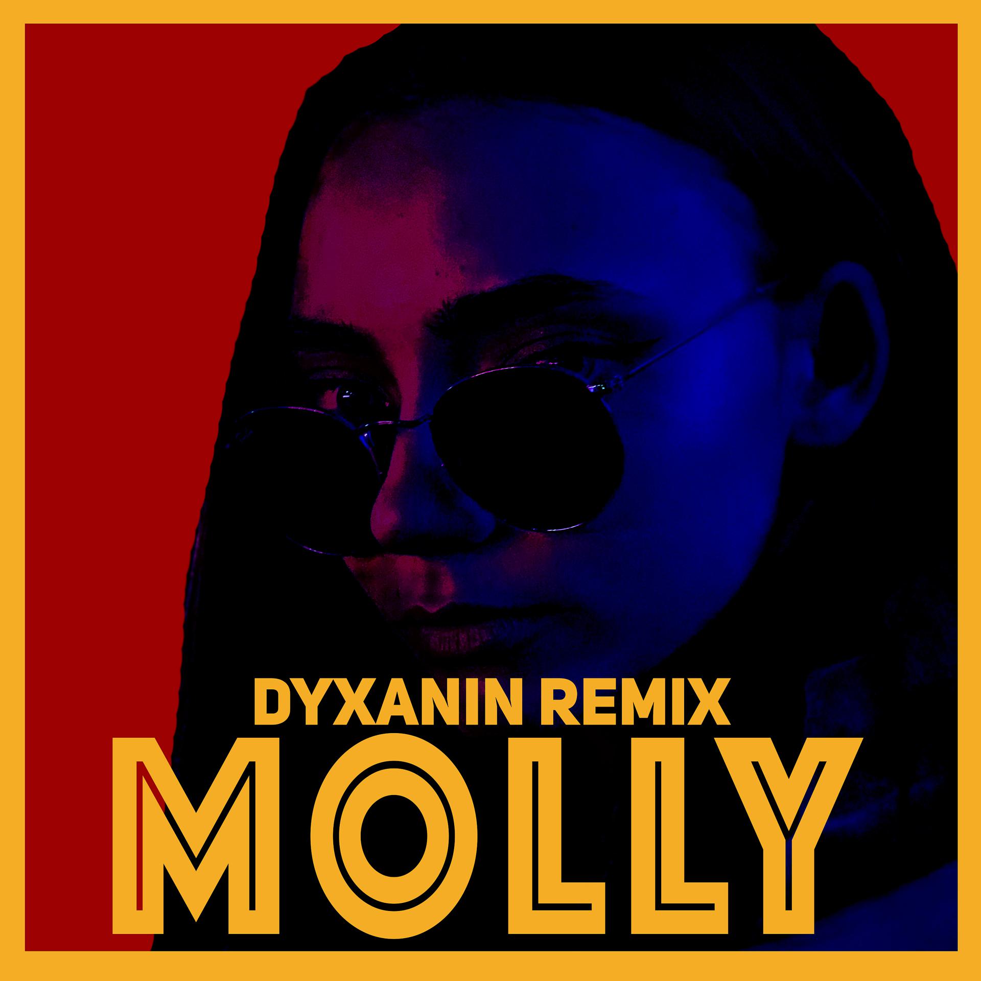Постер альбома Molly Remix (Тони Раут)