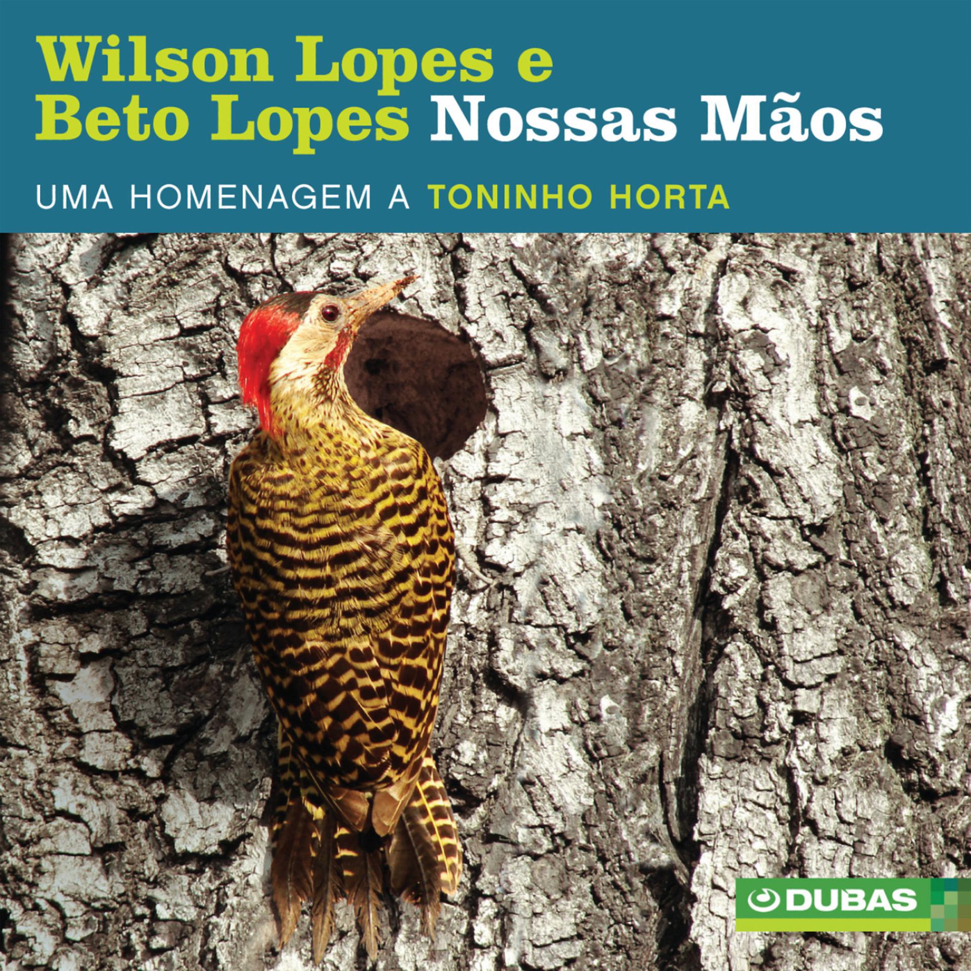 Постер альбома Nossas Mãos - Homenagem a Toninho Horta