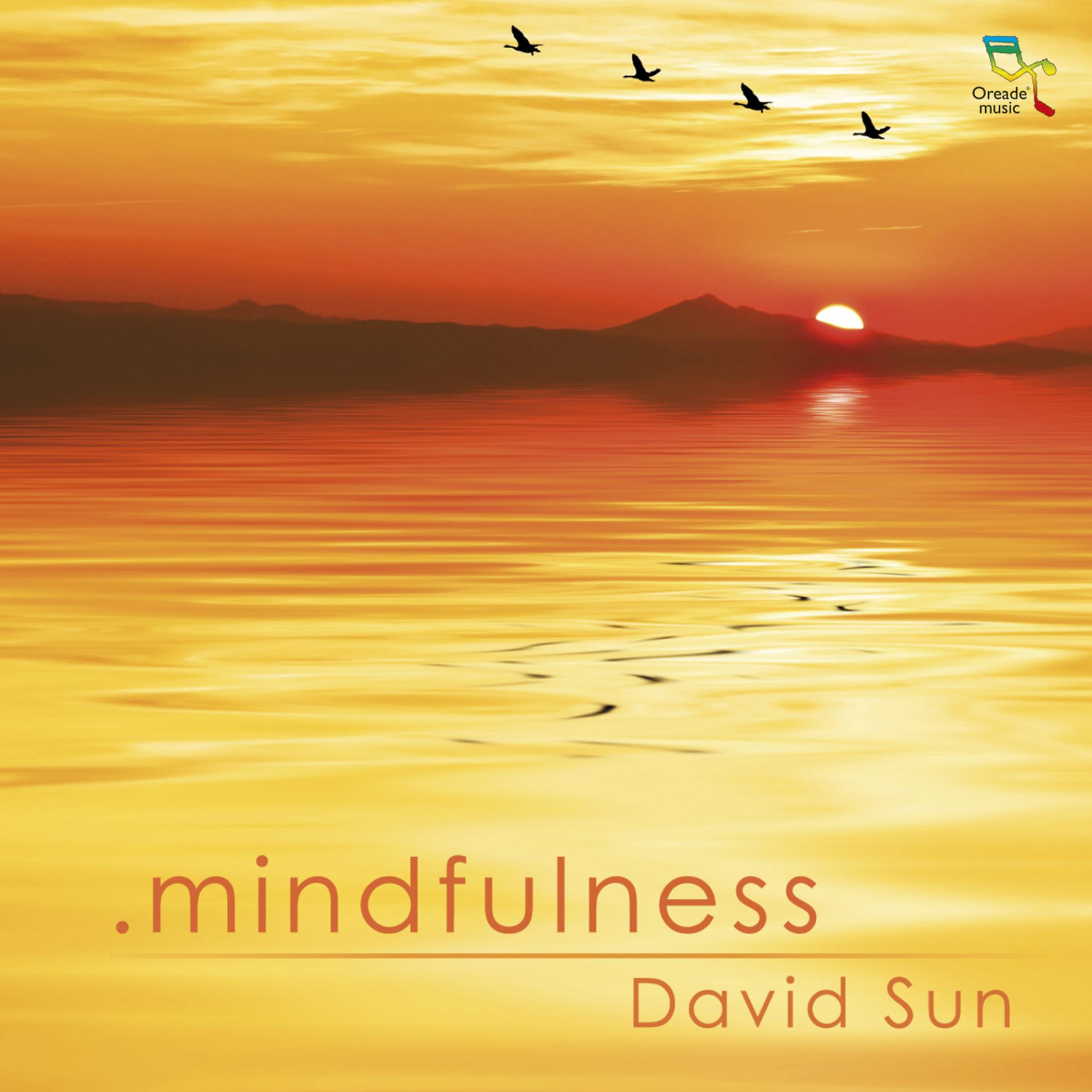 Постер альбома Mindfulness