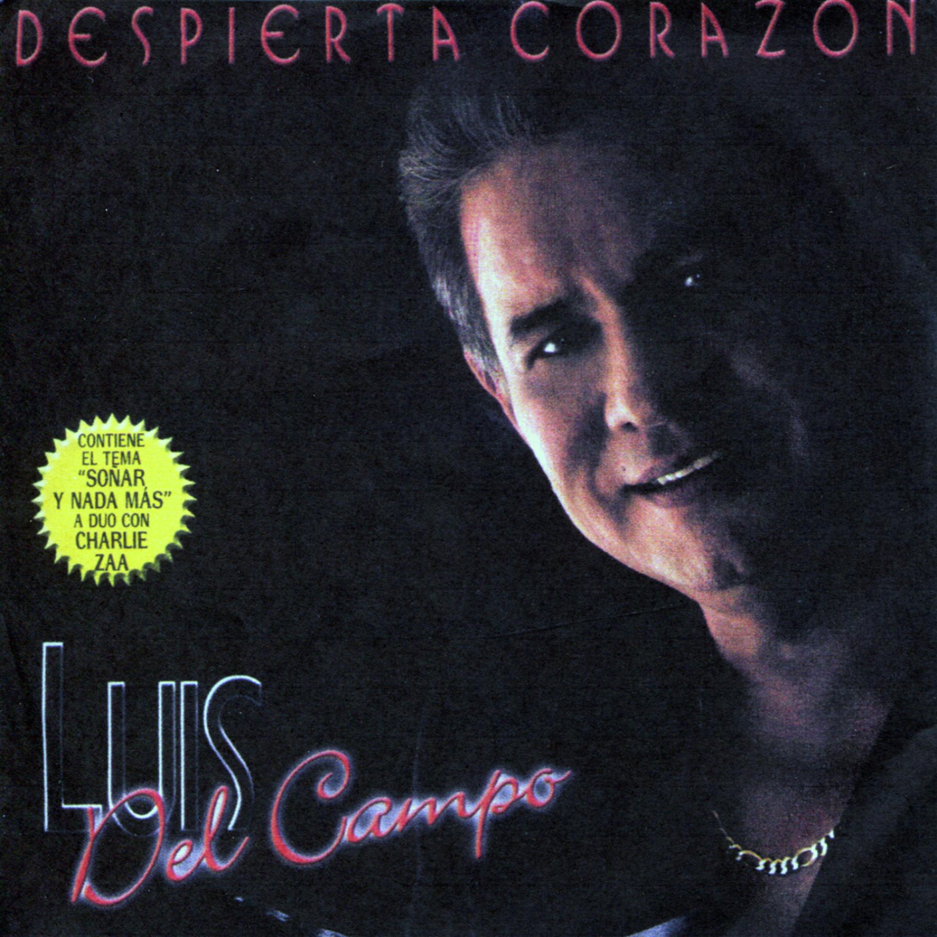 Постер альбома Despierta Corazon