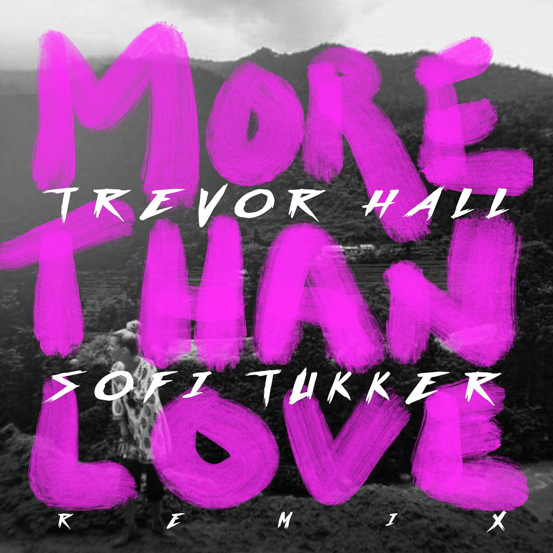 Постер альбома more than love (Sofi Tukker remix)