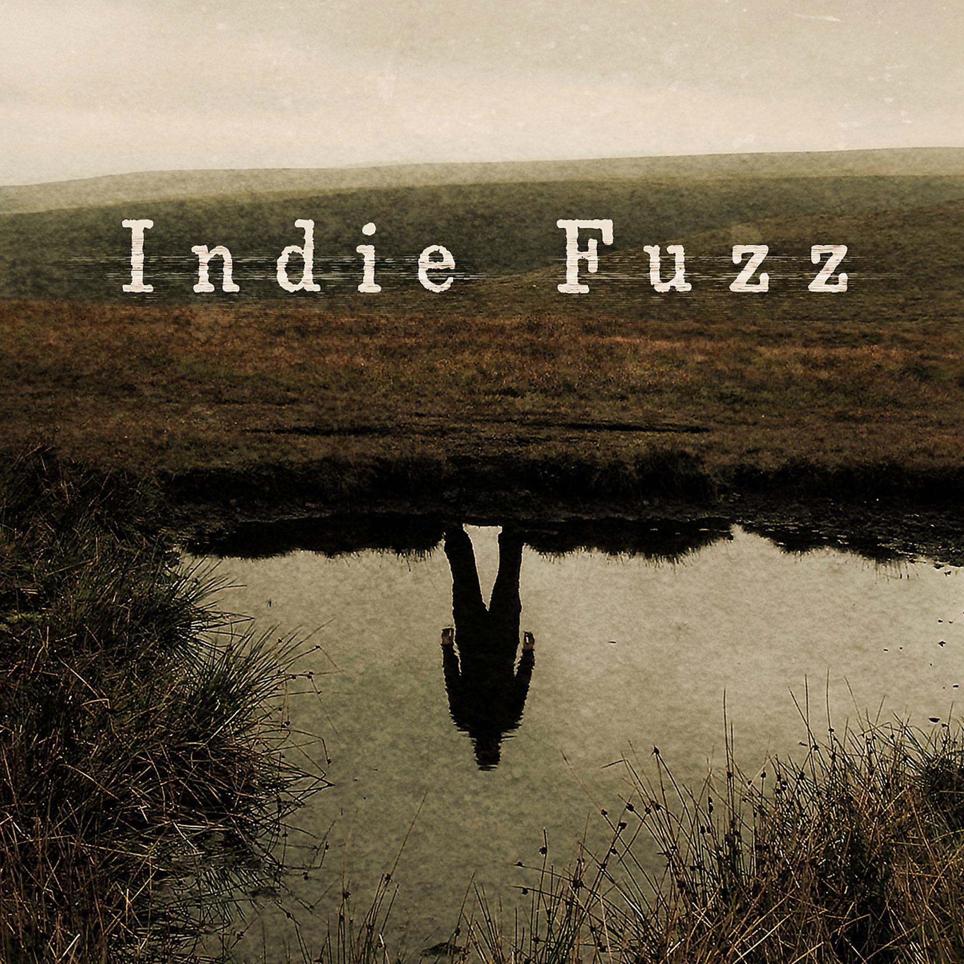 Постер альбома Indie Fuzz