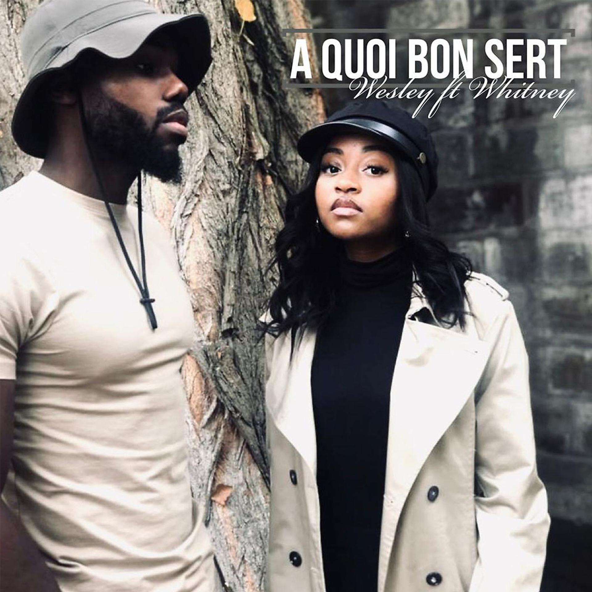 Постер альбома A quoi bon sert