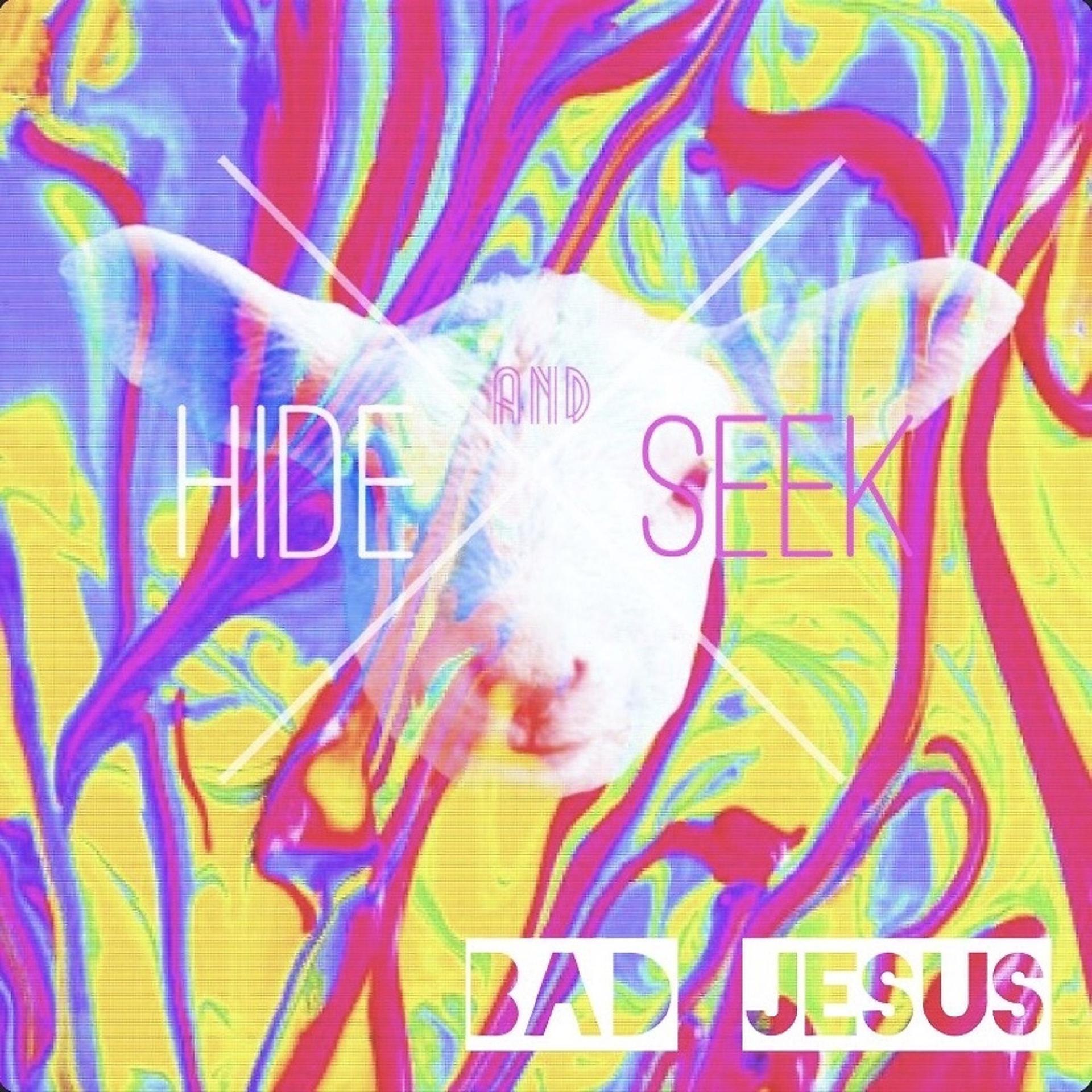 Постер альбома Hide and Seek