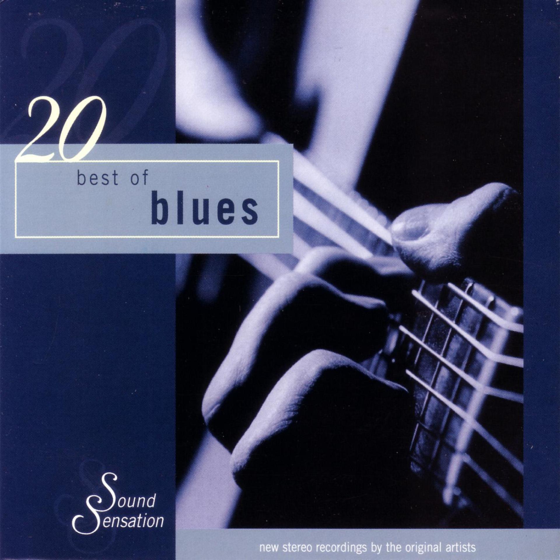 Постер альбома 20 Best of Blues