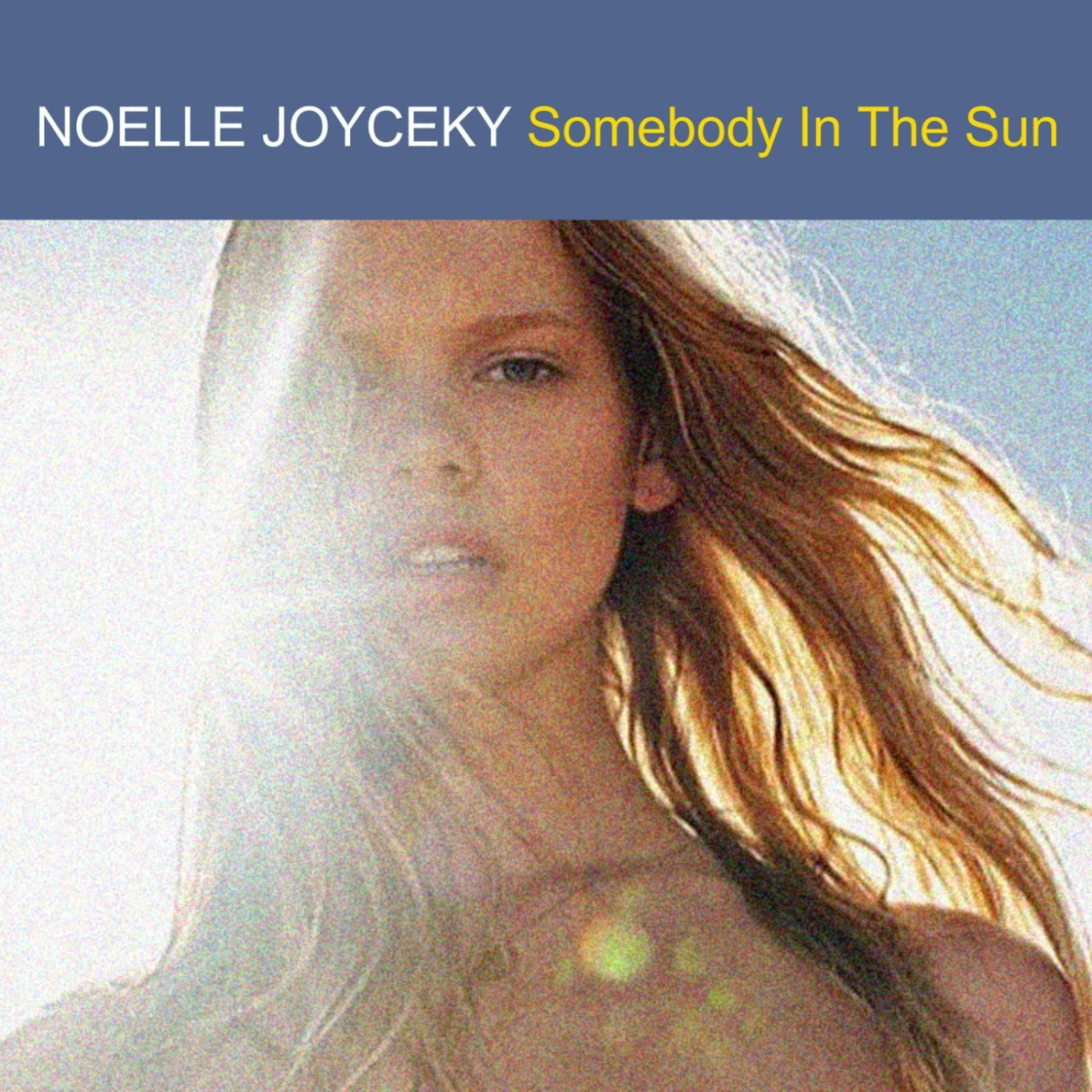 Постер альбома Somebody in the Sun - Single