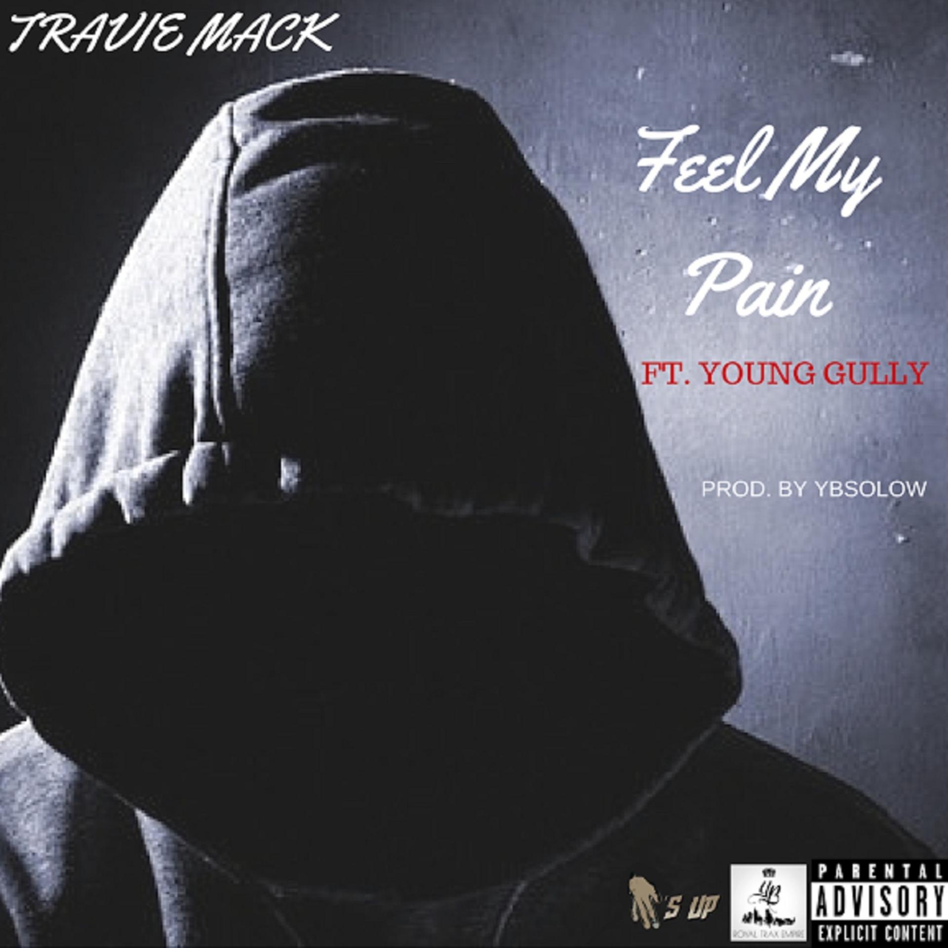 Постер альбома Feel My Pain (feat. Young Gully)