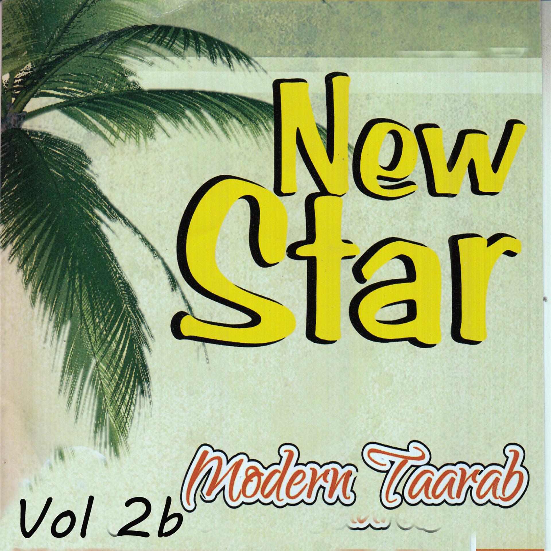 Постер альбома New Star Modern Taarab, Vol. 2b