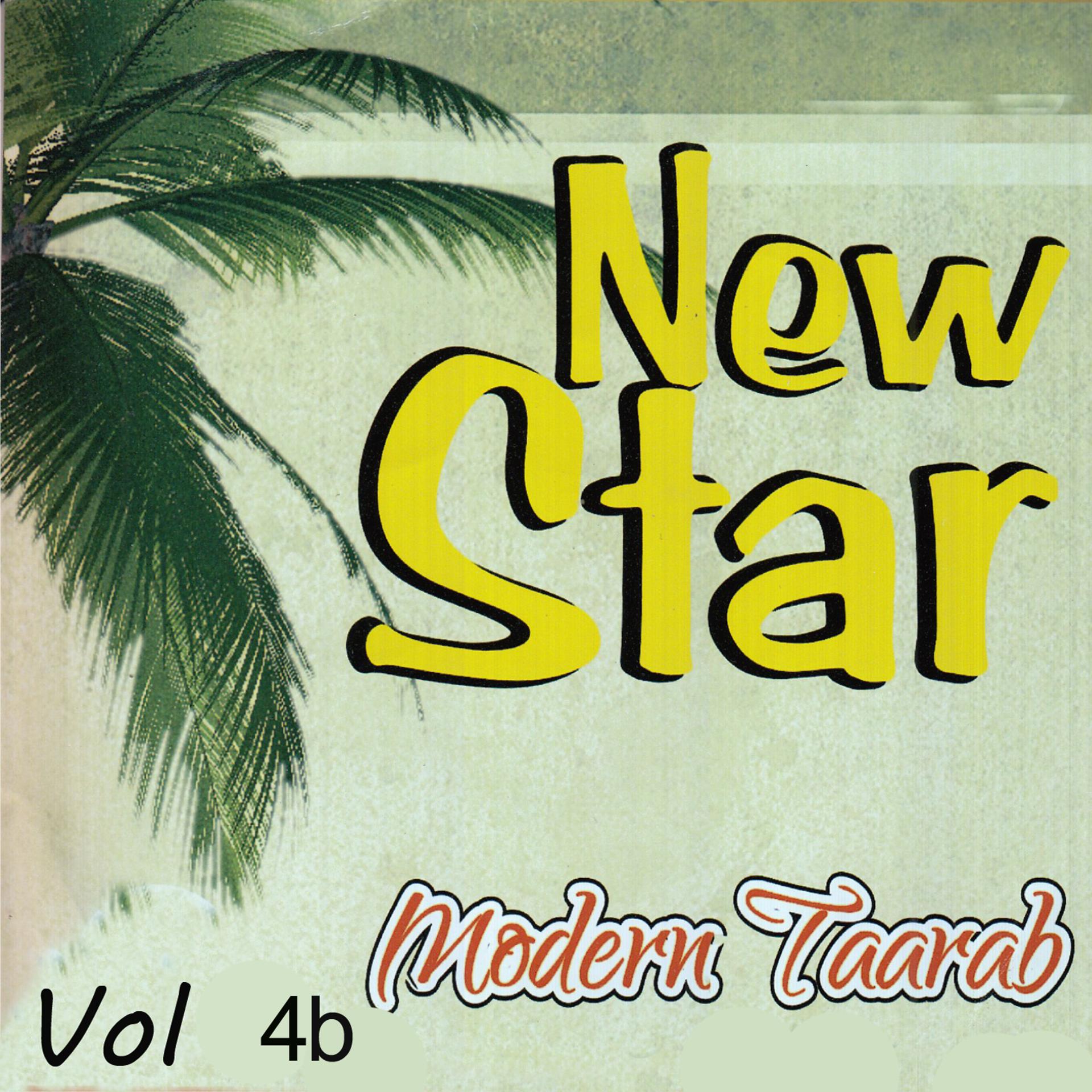 Постер альбома New Star Modern Taarab, Vol. 4b