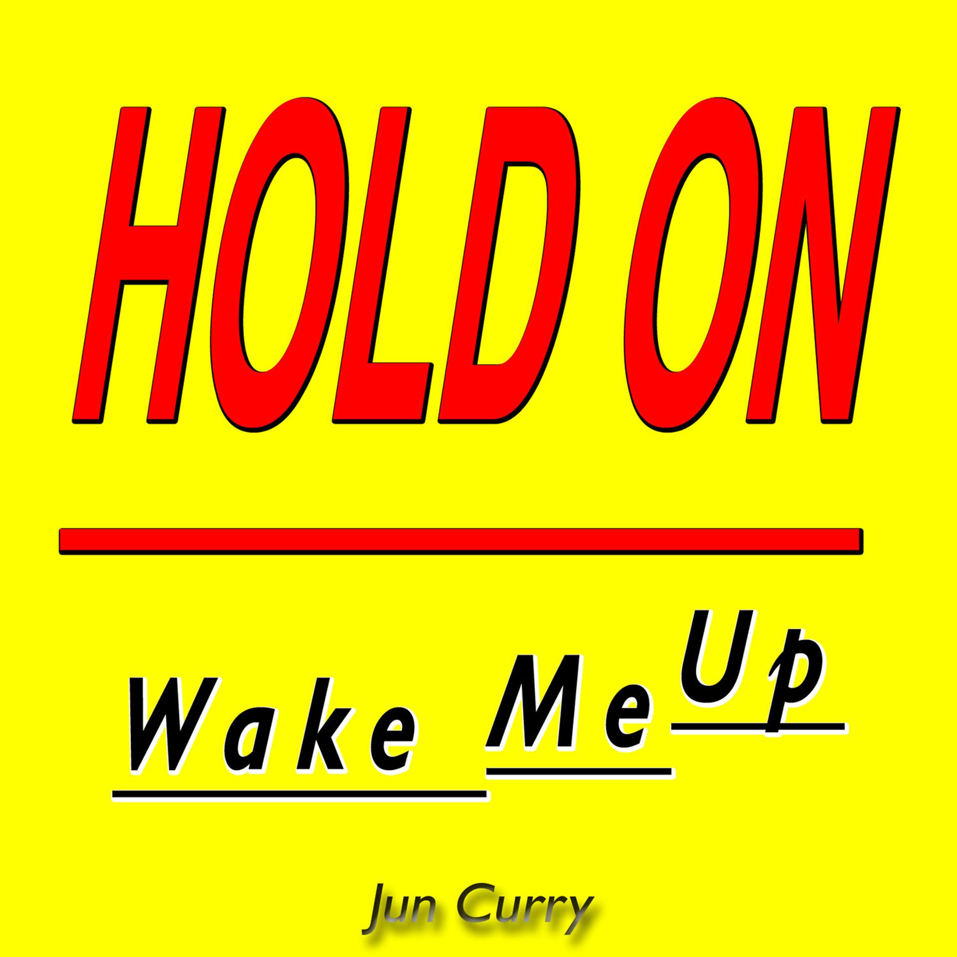 Постер альбома Hold On (Wake Me Up)