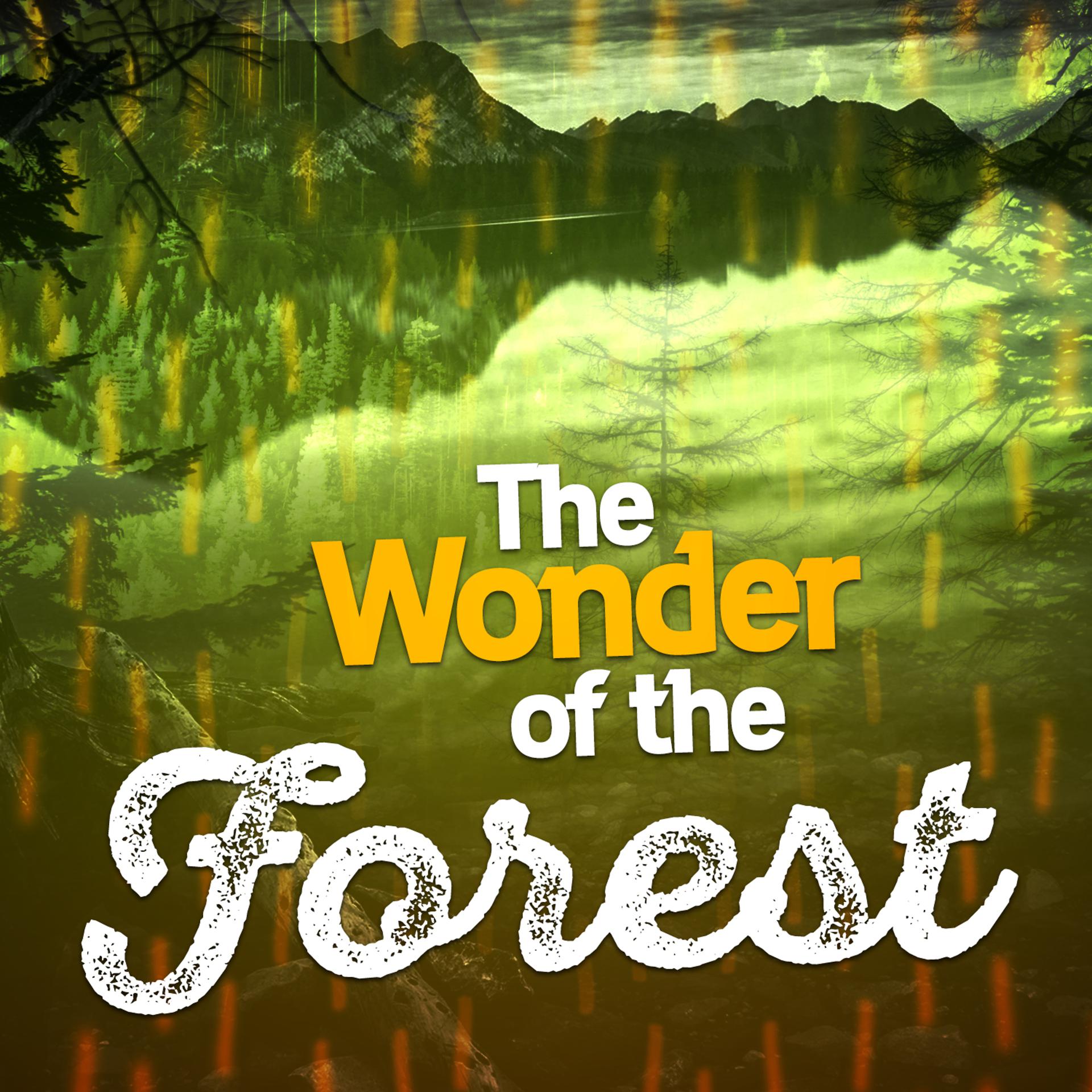 Постер альбома The Wonder of the Forest