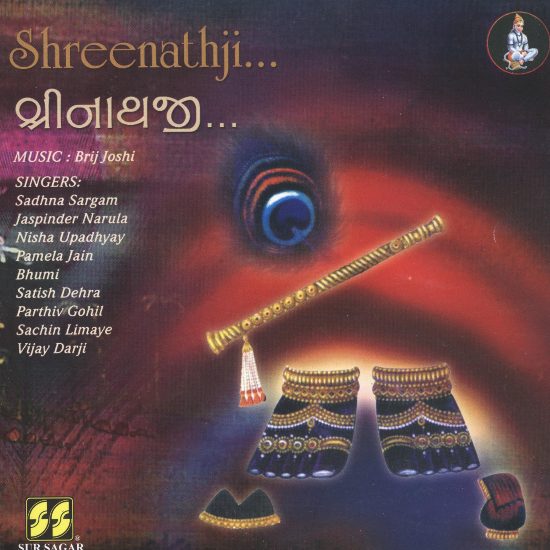 Постер альбома Shreenathji