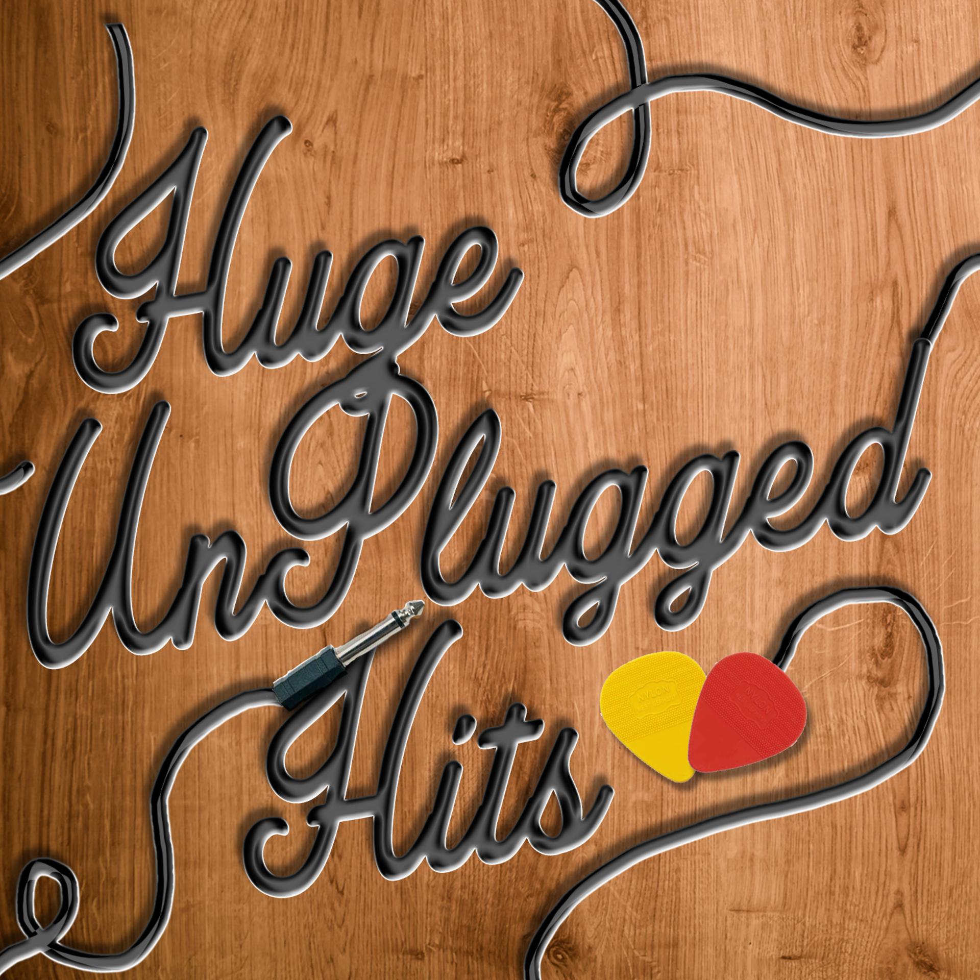 Постер альбома Huge Unplugged Hits