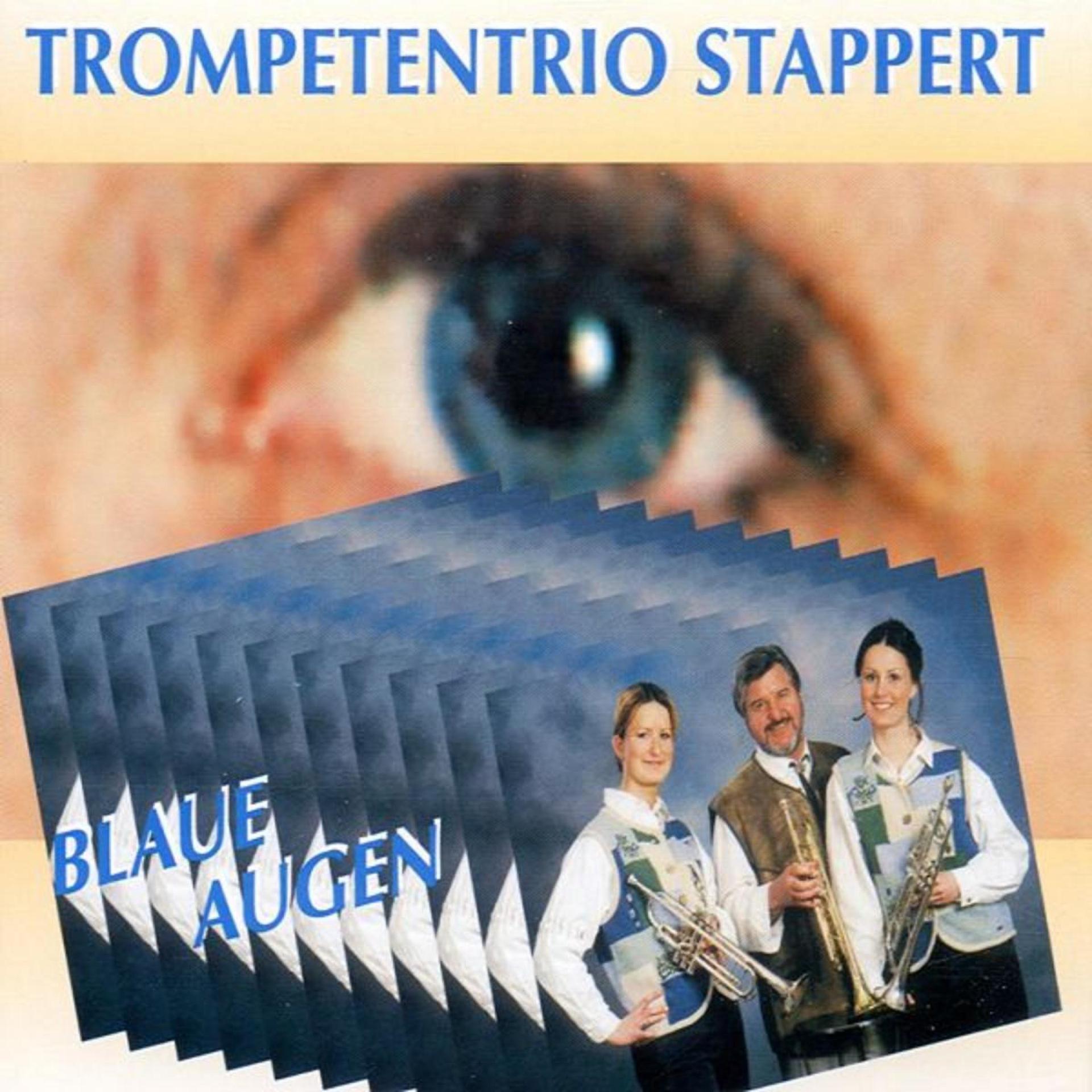 Постер альбома Blaue Augen