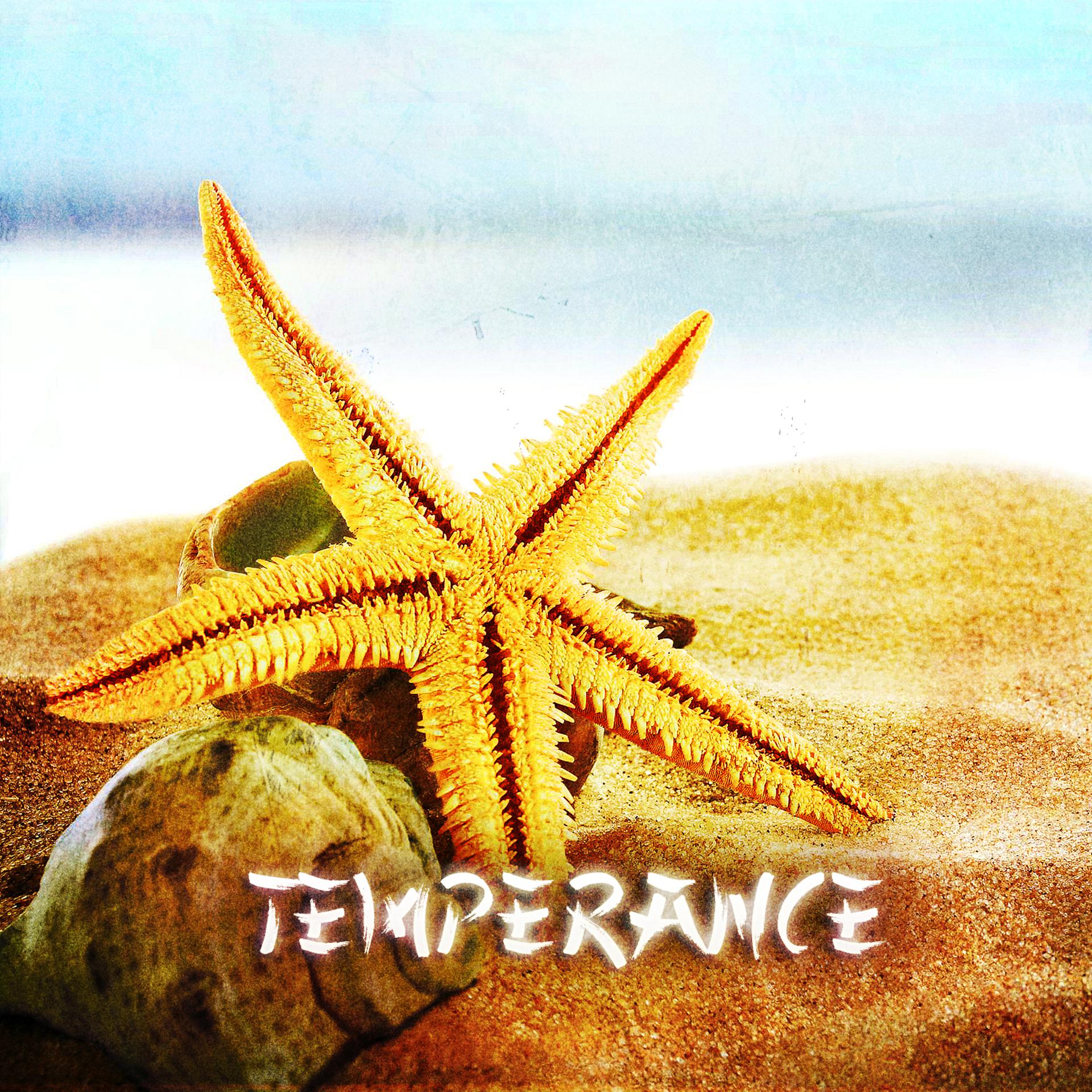 Постер альбома Zen & Relaxation: Tempérance
