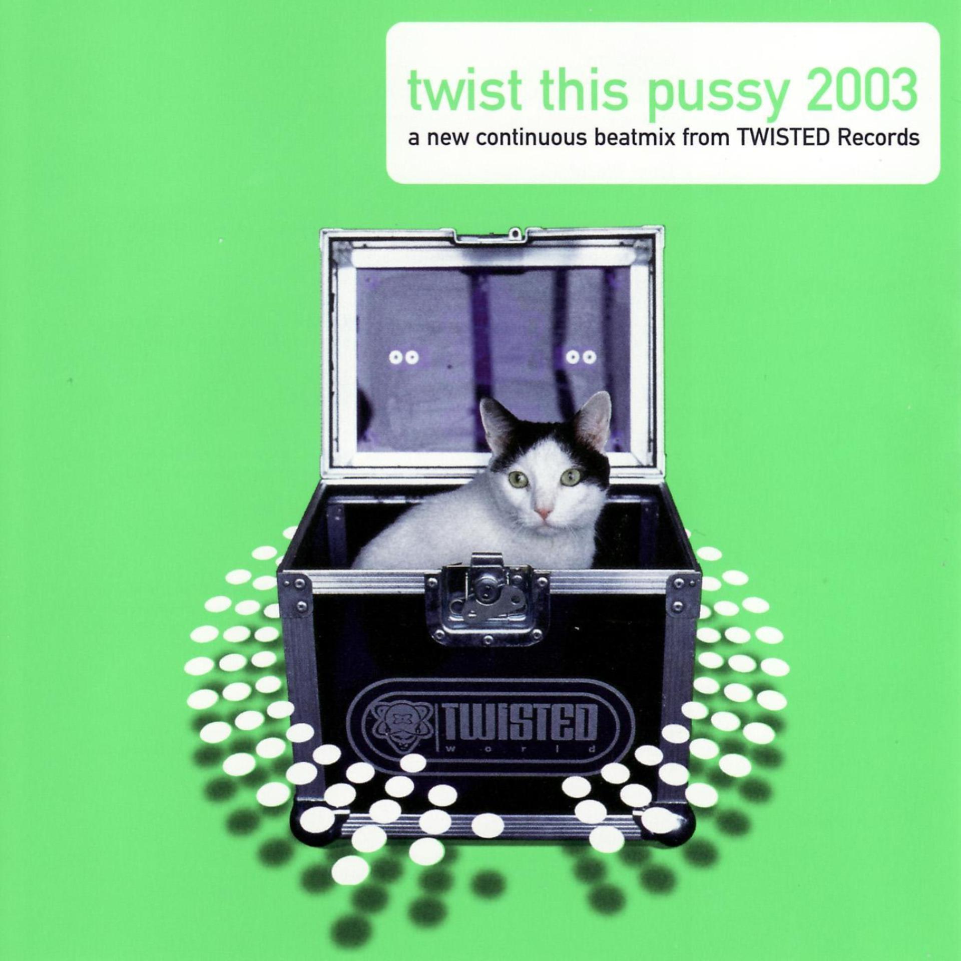 Постер альбома Twist This Pussy 2003