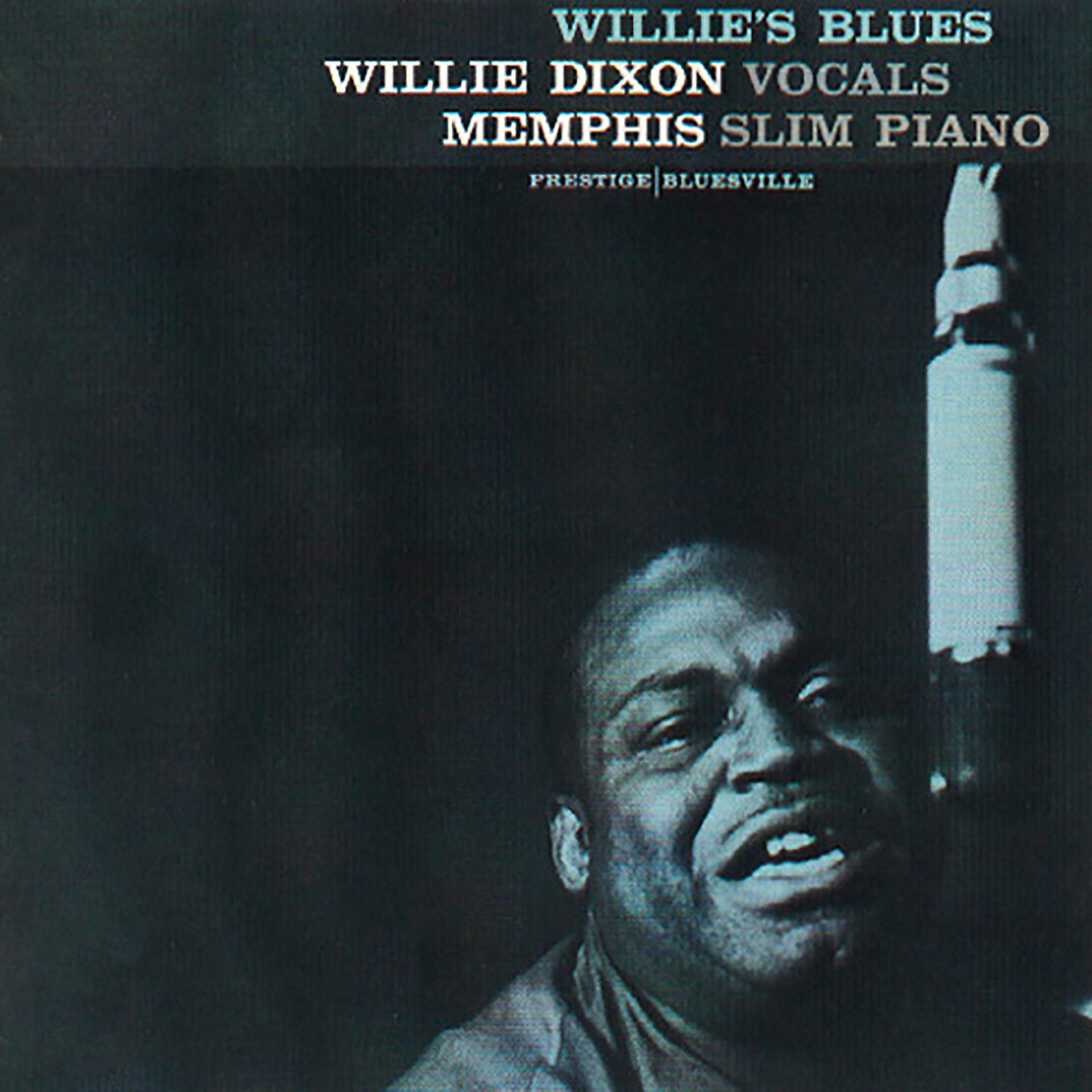 Постер альбома Willie's Blues