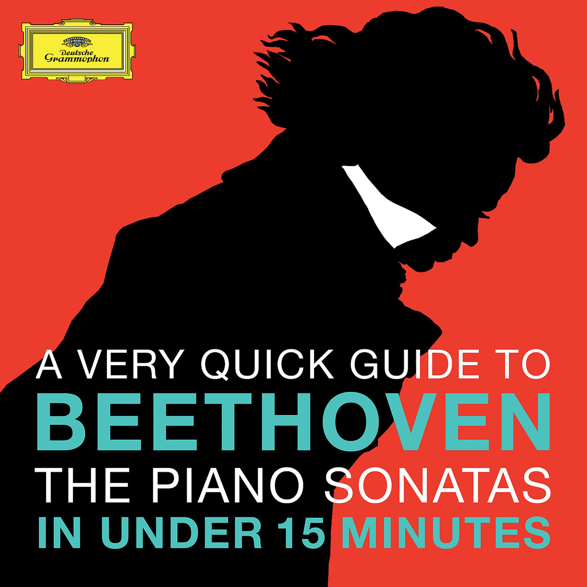 Постер альбома Beethoven: The Piano Sonatas in under 15 minutes