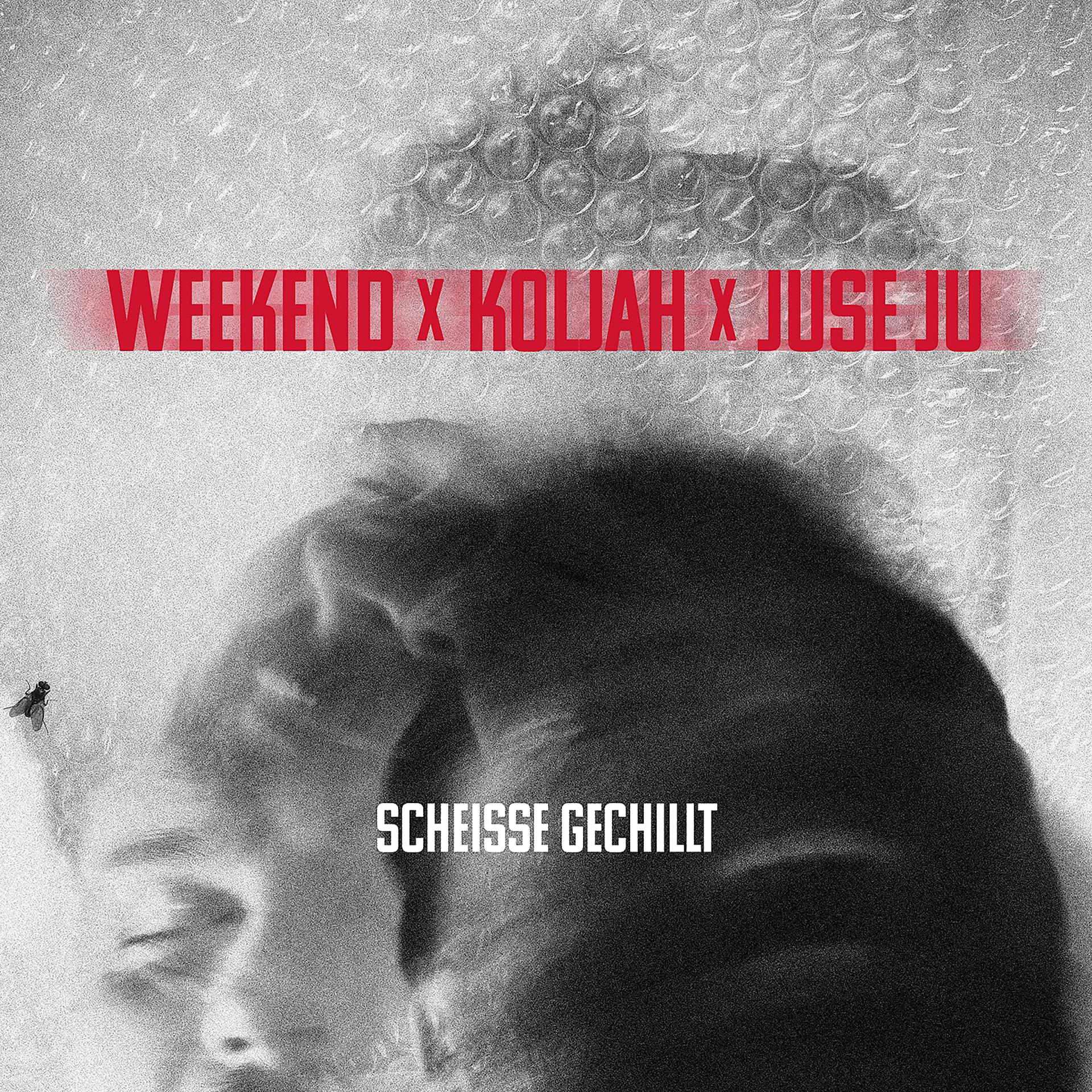 Постер альбома Scheiße Gechillt