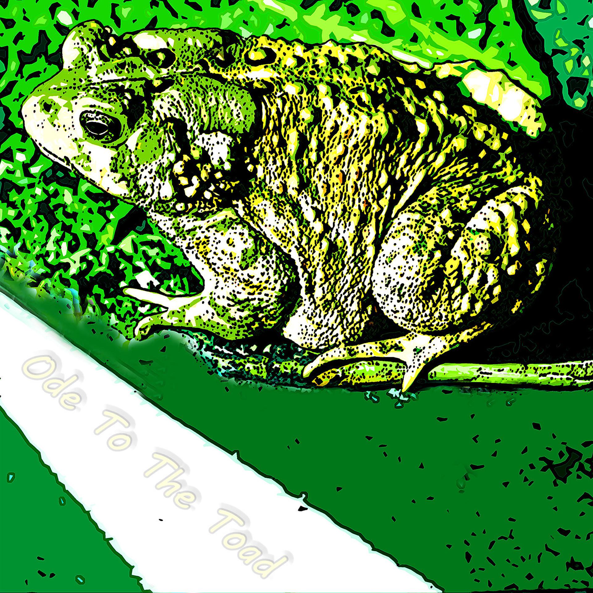 Постер альбома Ode to the Toad