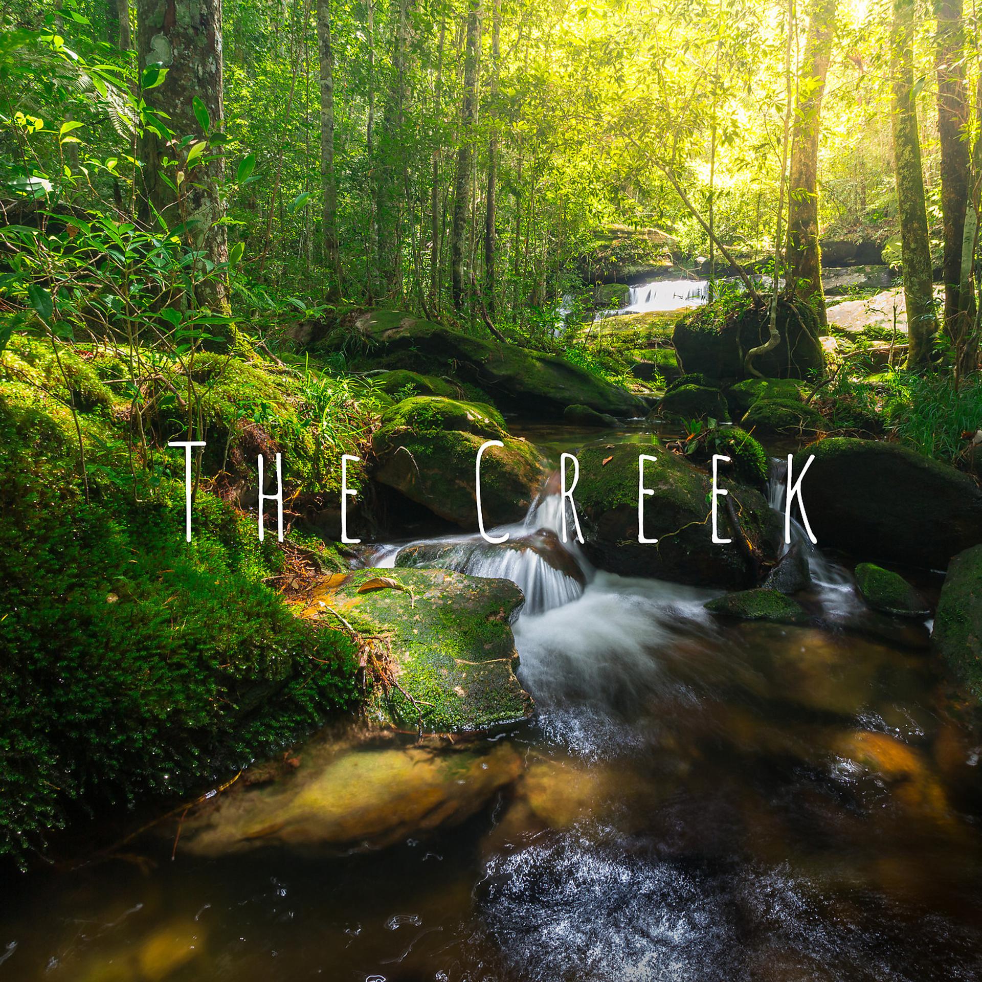 Постер альбома The Creek