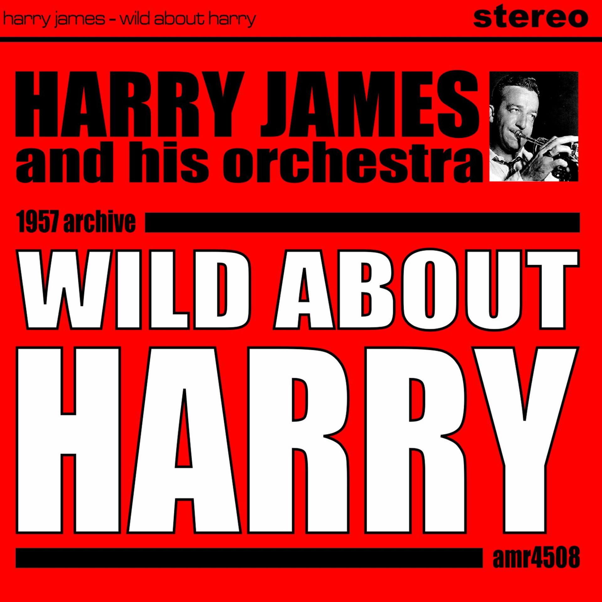 Постер альбома Wild About Harry