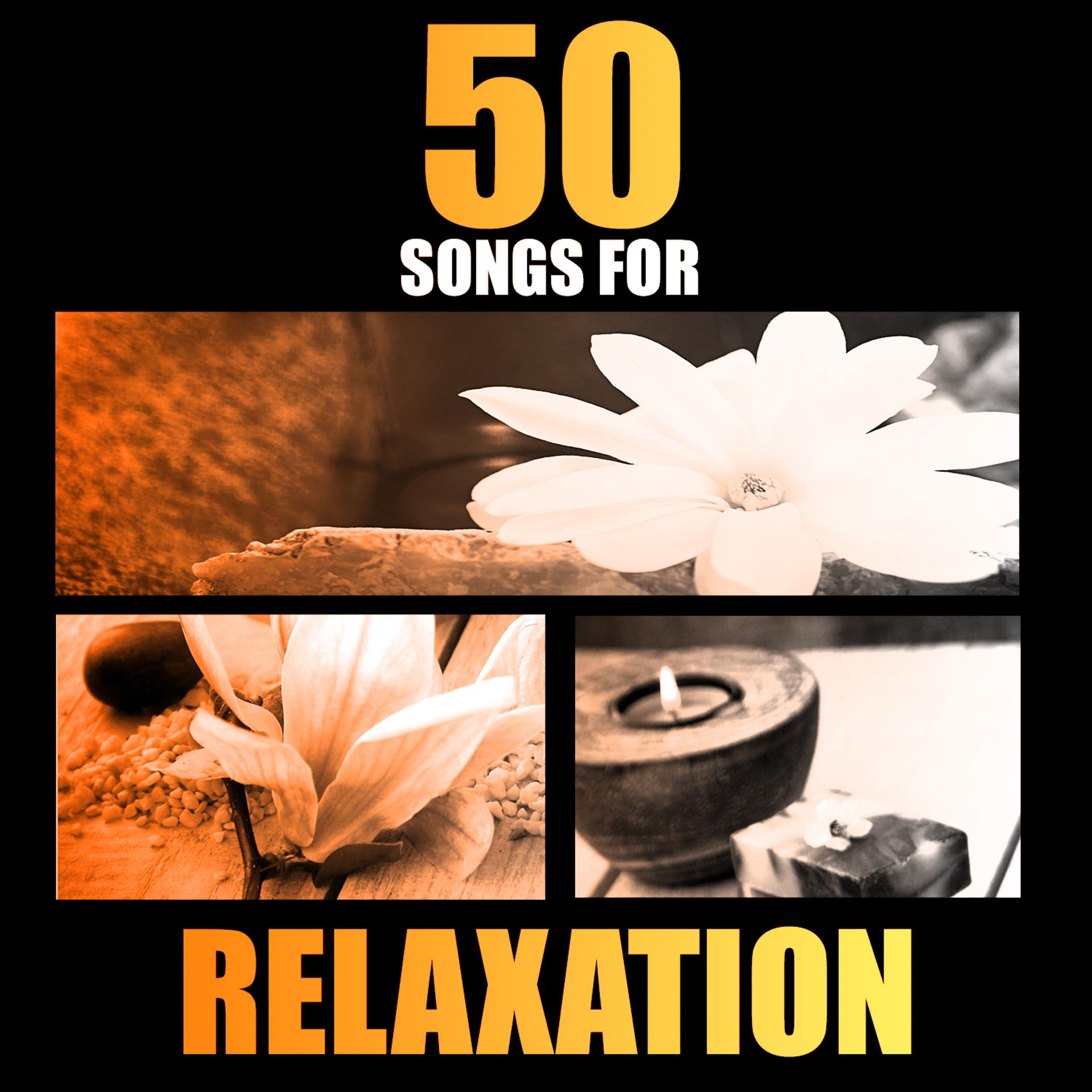Постер альбома Serenity: 50 Songs for Relaxation