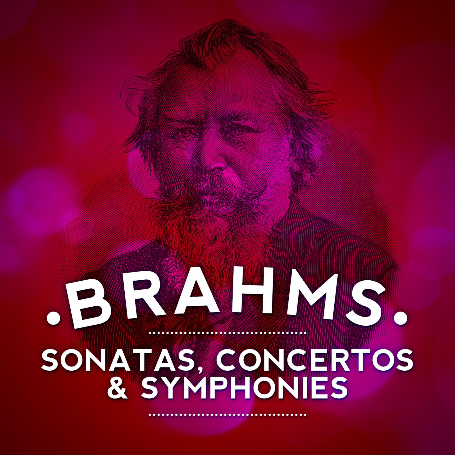 Постер альбома Brahms: Sonatas, Concertos & Symphonies