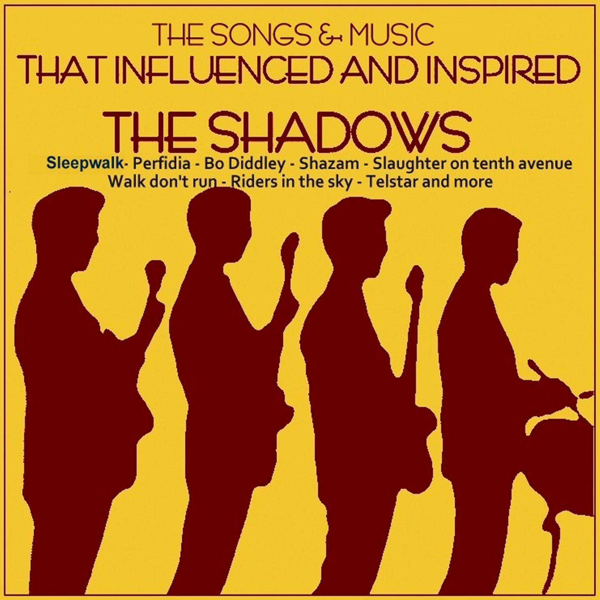 Постер альбома The Songs & Music That Influenced and Inspired the Shadows