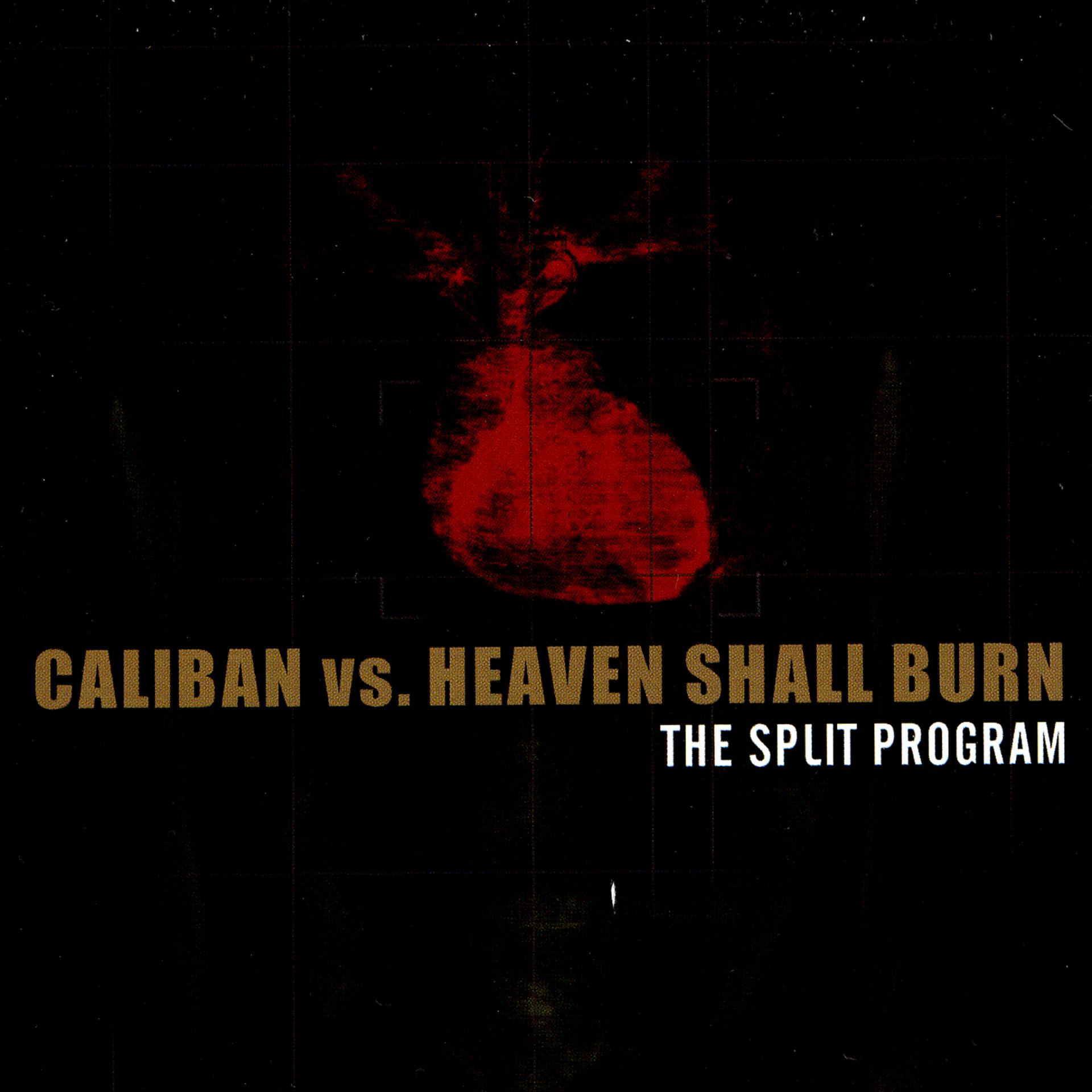 Постер альбома The Split Program