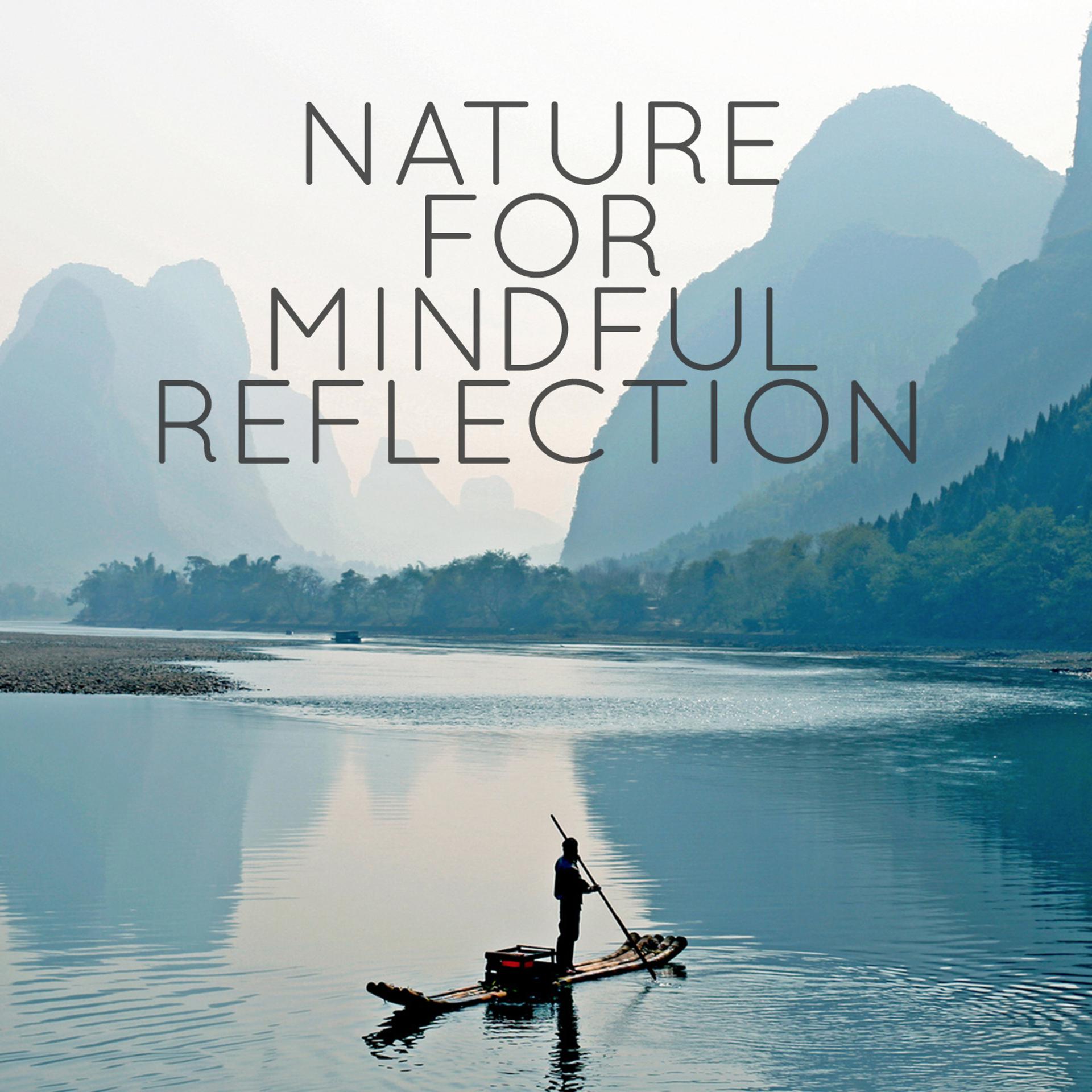Постер альбома Nature for Mindful Reflection