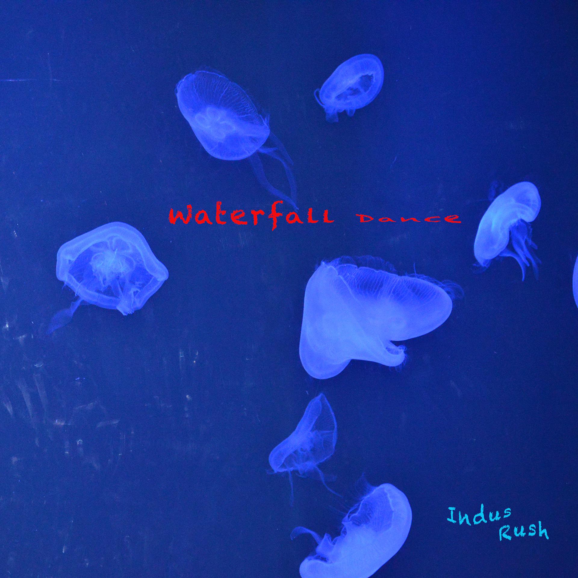 Постер альбома Waterfall Dance