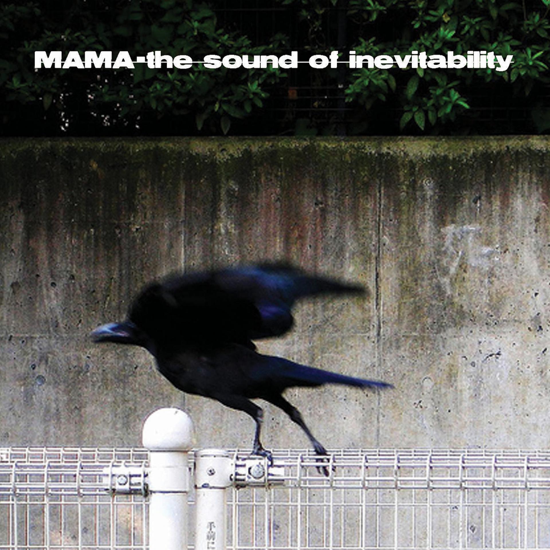 Постер альбома The Sound Of Inevitability