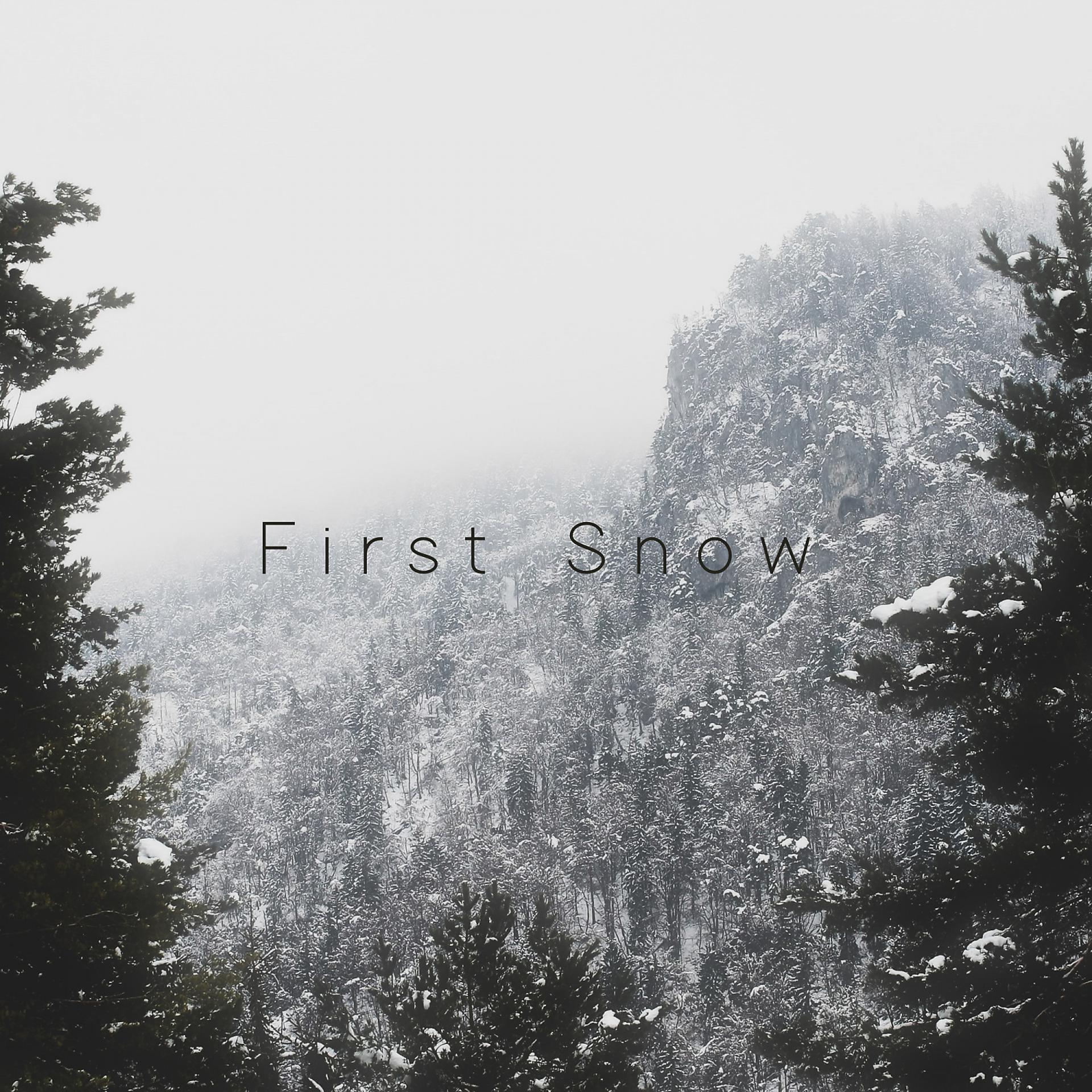 Постер альбома First Snow