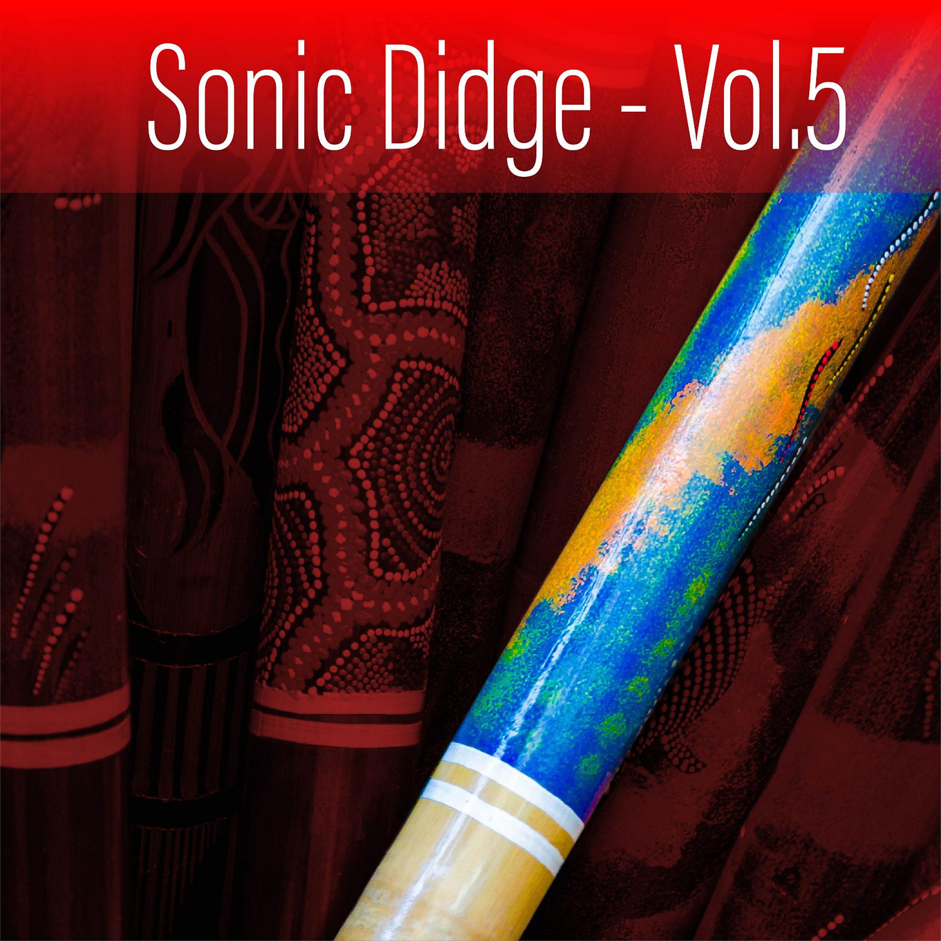 Постер альбома Sonic Didge, Vol. 5