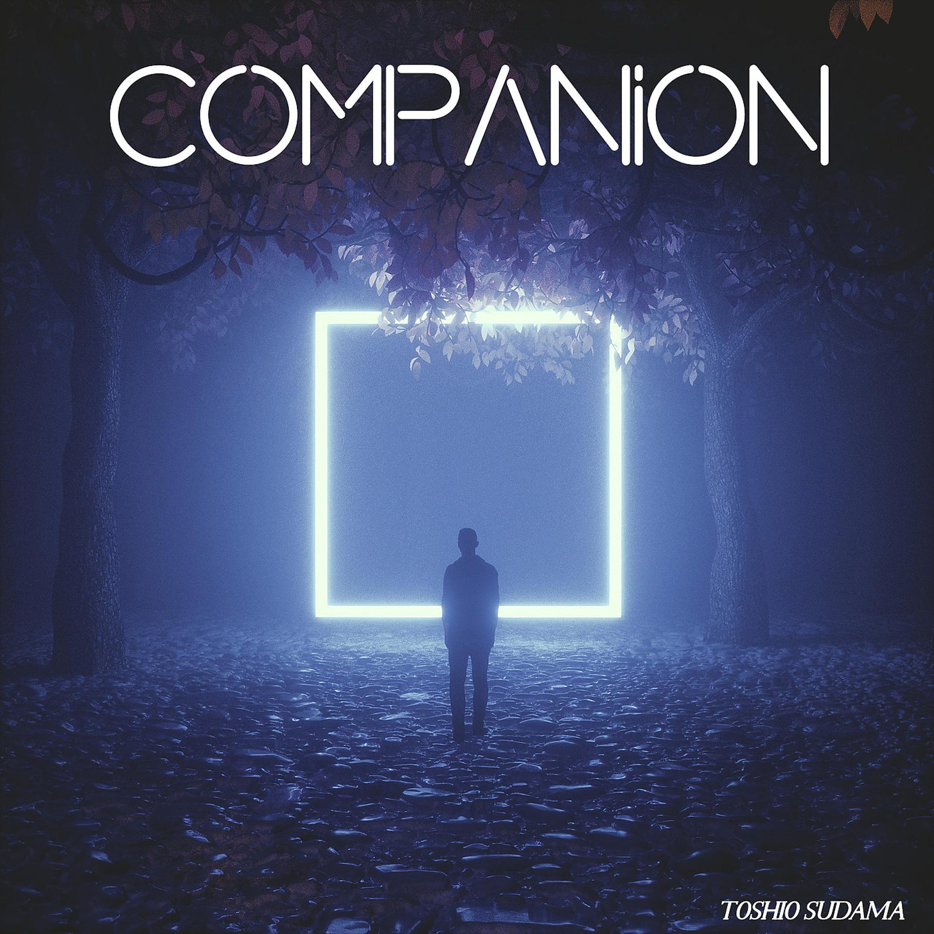 Постер альбома Companion