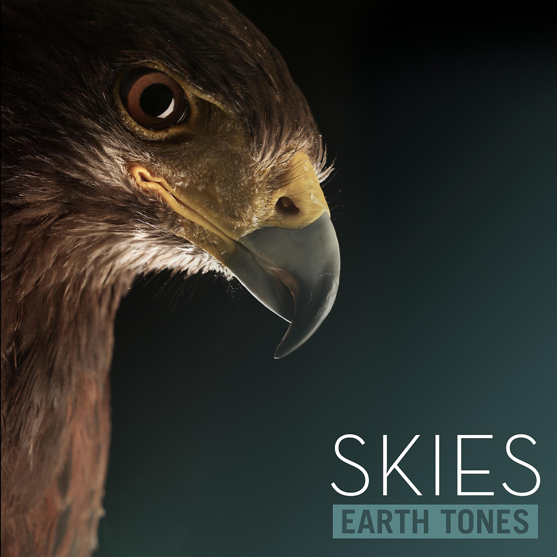 Постер альбома Earth Tones: Skies