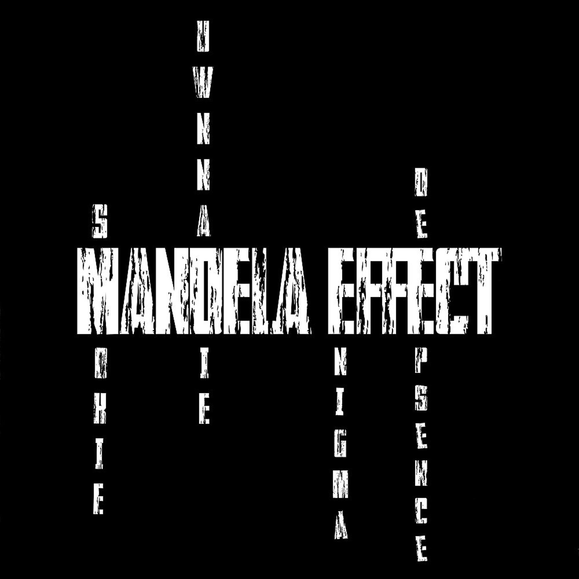Постер альбома Mandela effect