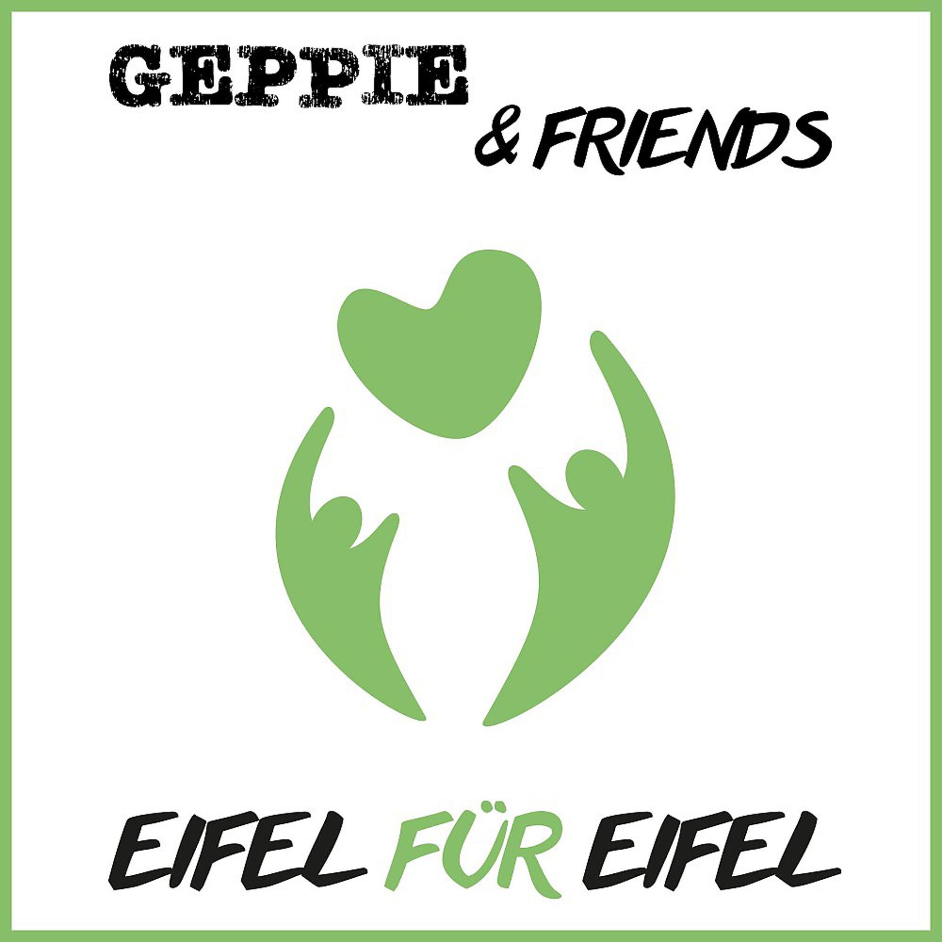 Постер альбома Eifel für Eifel