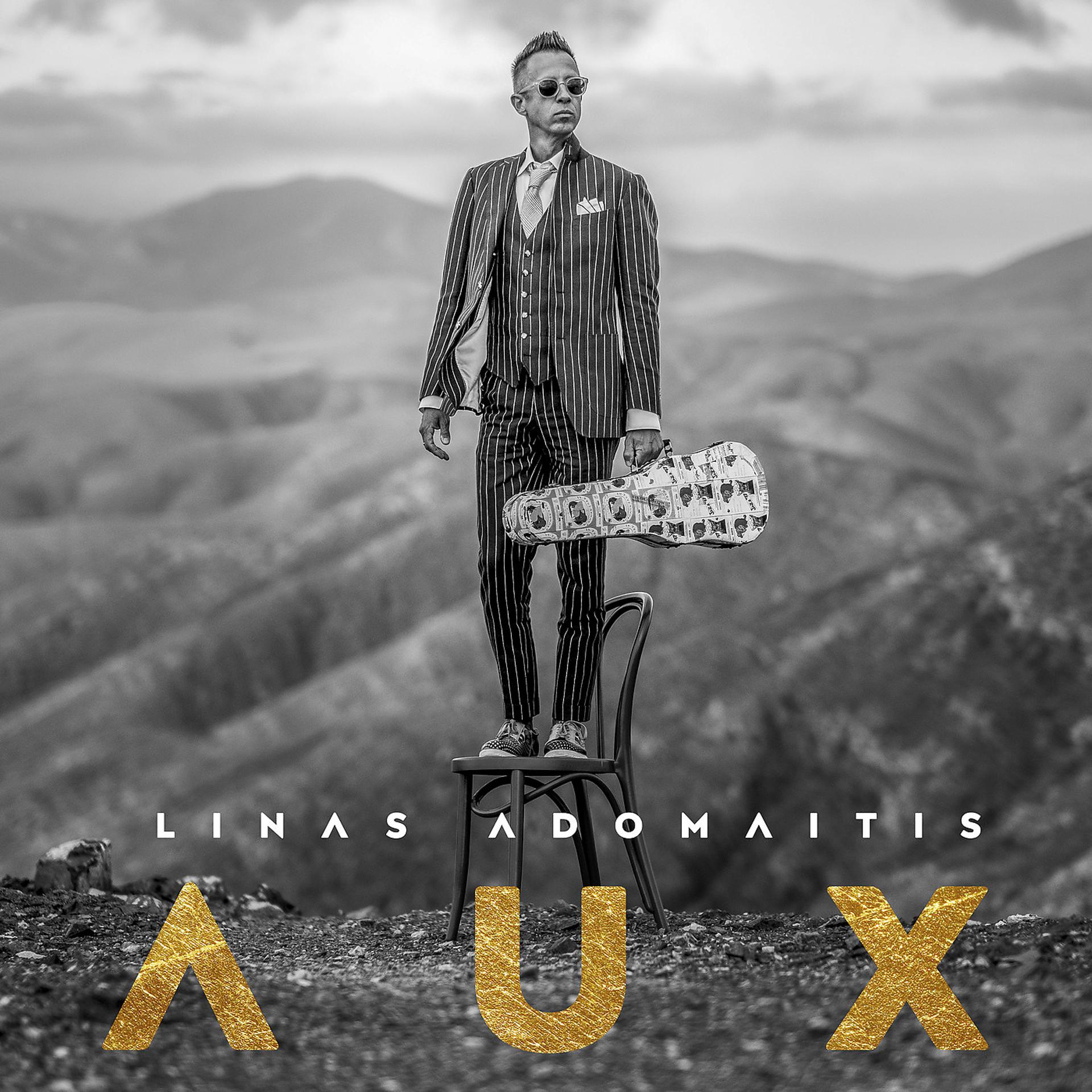 Постер альбома Aux