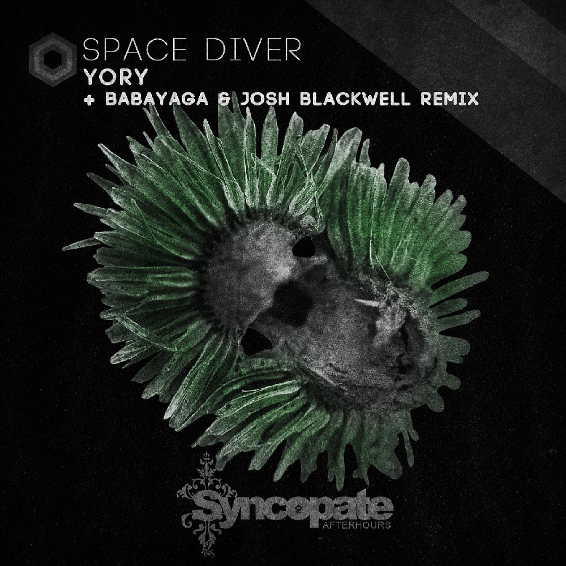 Постер альбома Space Diver