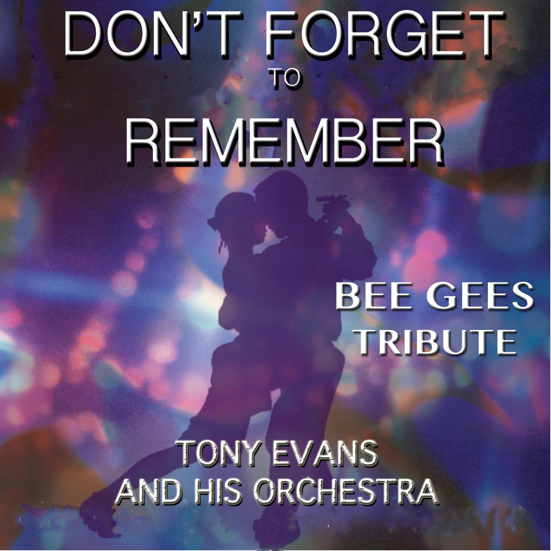 Постер альбома Don't Forget to Remember - Bee Gees Tribute