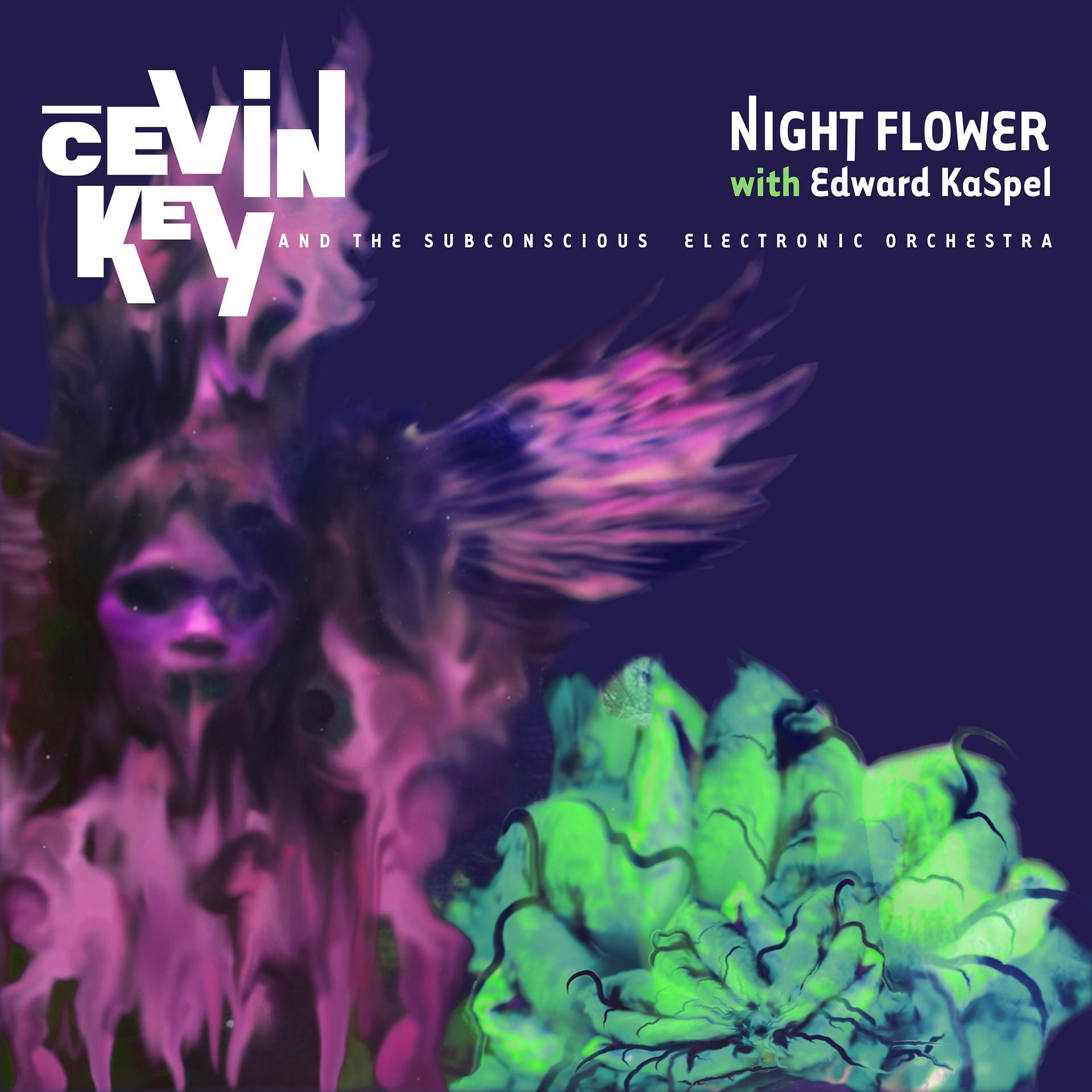 Постер альбома Night Flower