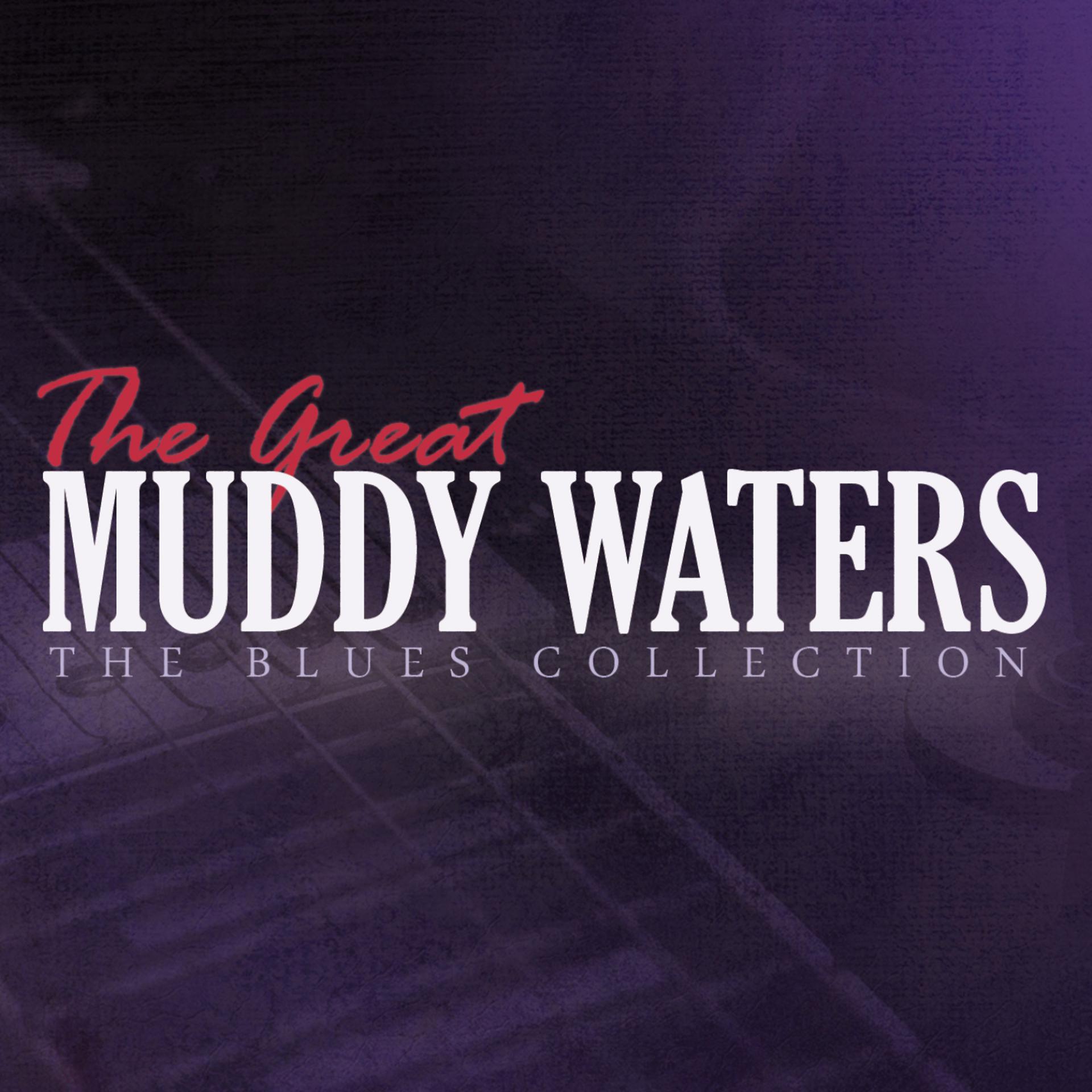 Постер альбома The Great Muddy Waters