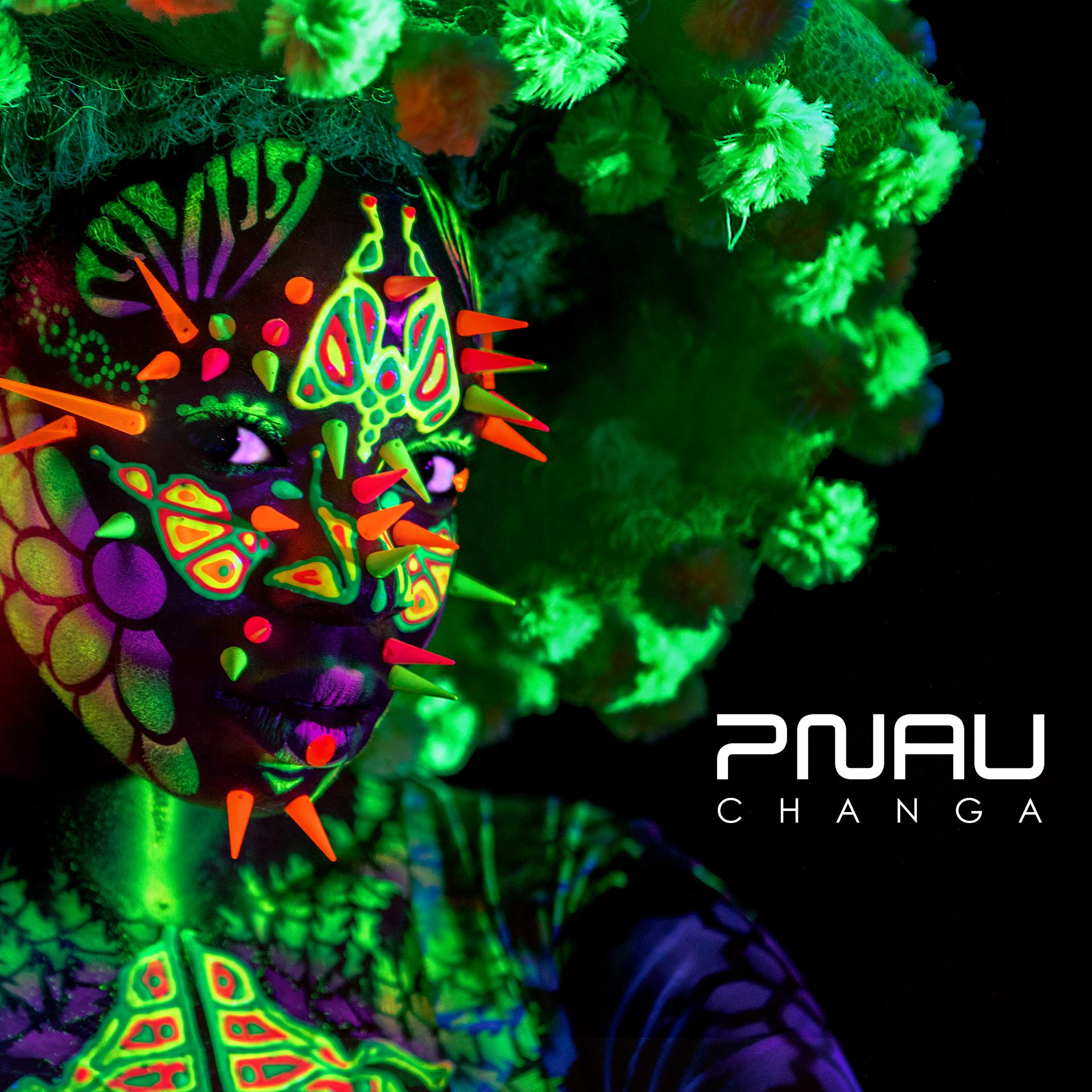 Постер альбома Changa (Remixes)