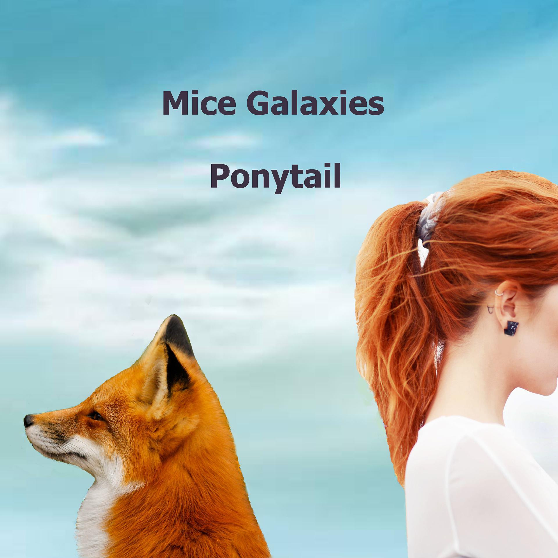 Постер альбома Ponytail