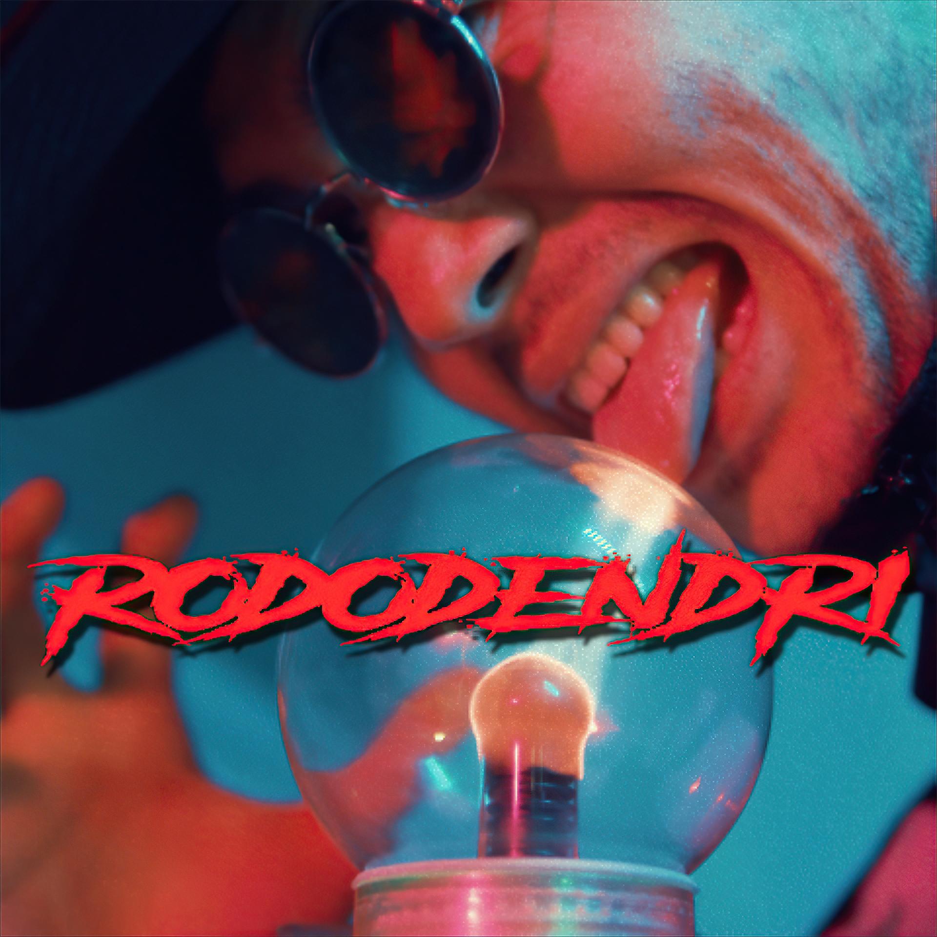 Постер альбома Rododendri