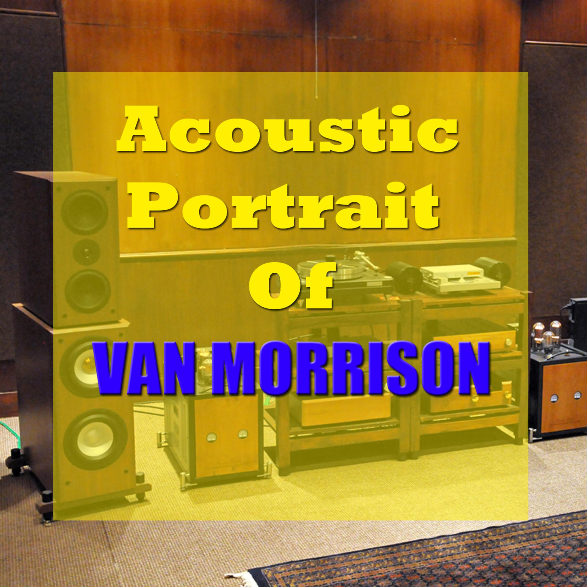 Постер альбома The Acoustic Portrait of Van Morrison