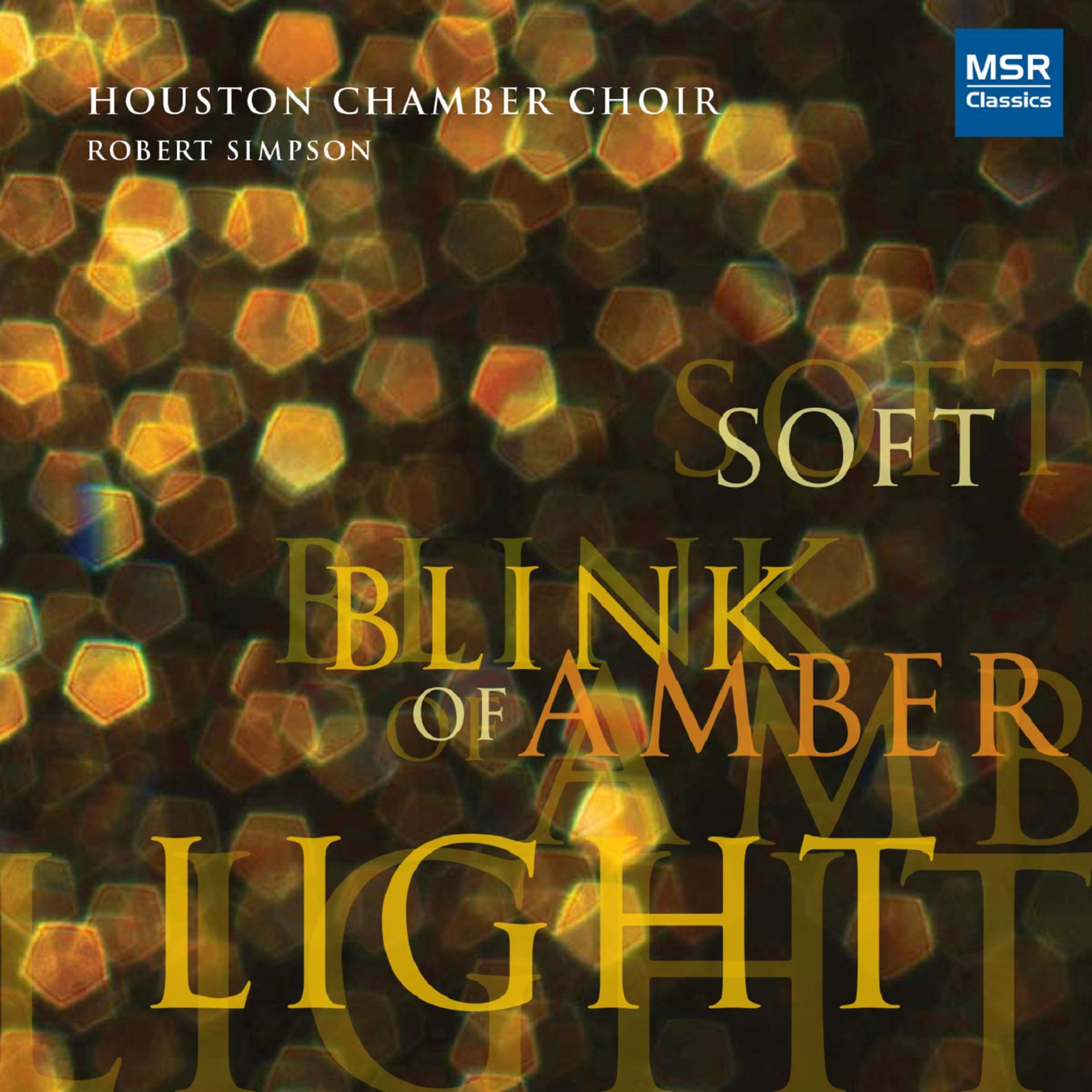 Постер альбома Soft Blink Of Amber Light