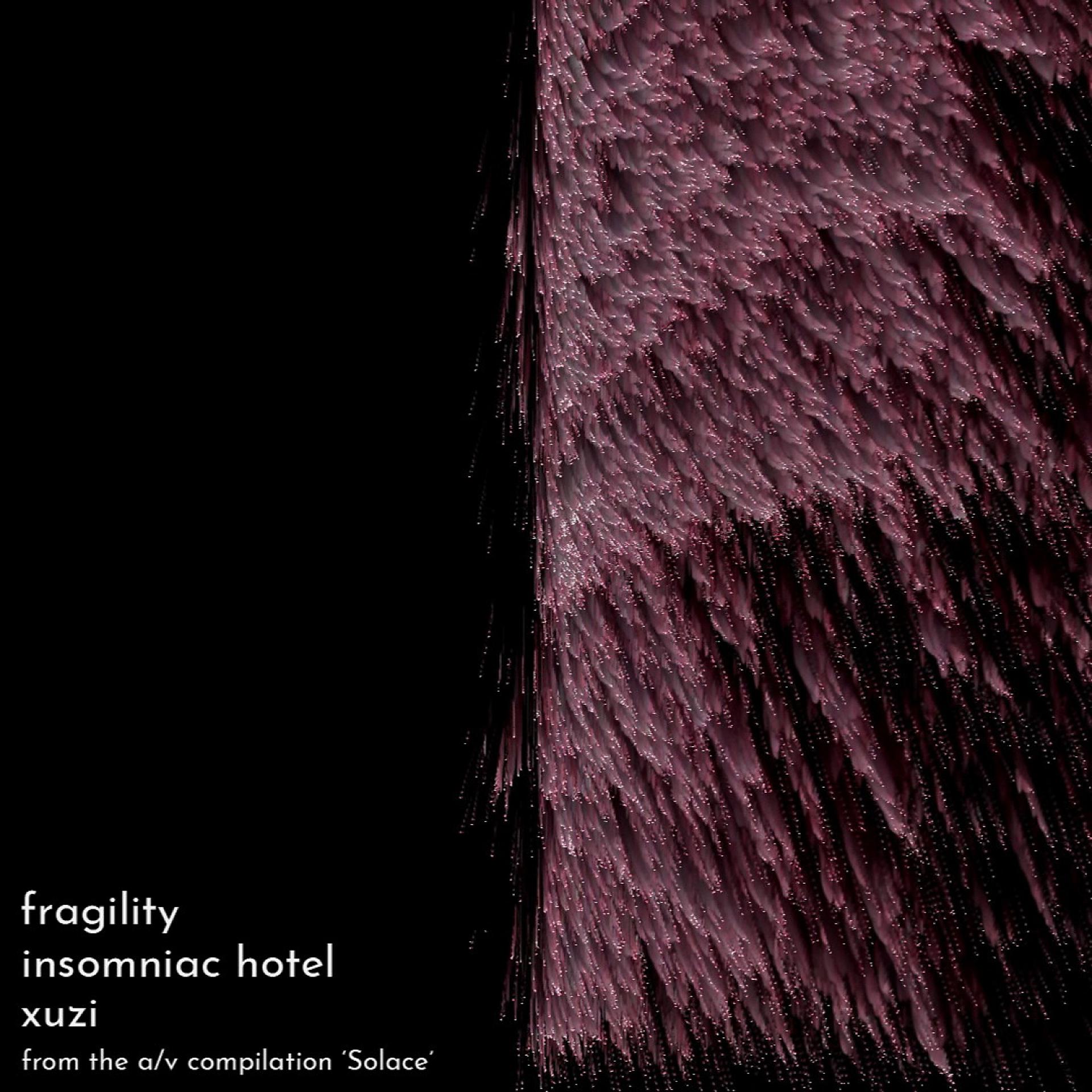 Постер альбома fragility (feat. xuzi)